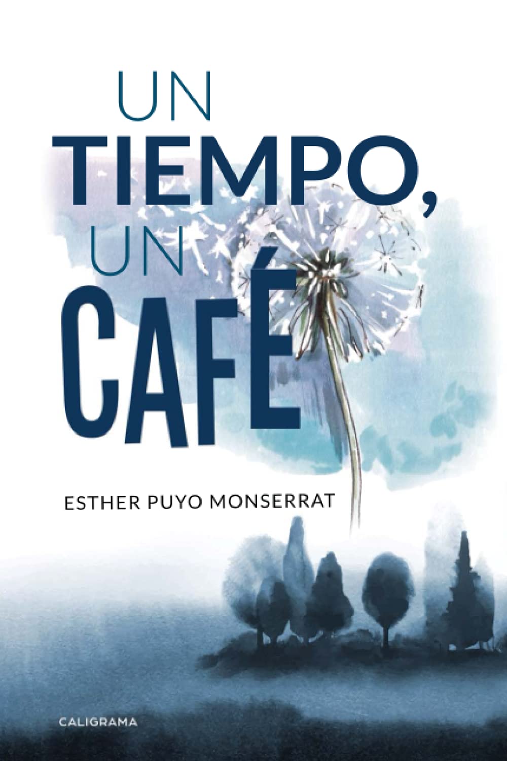 Un tiempo, un café book