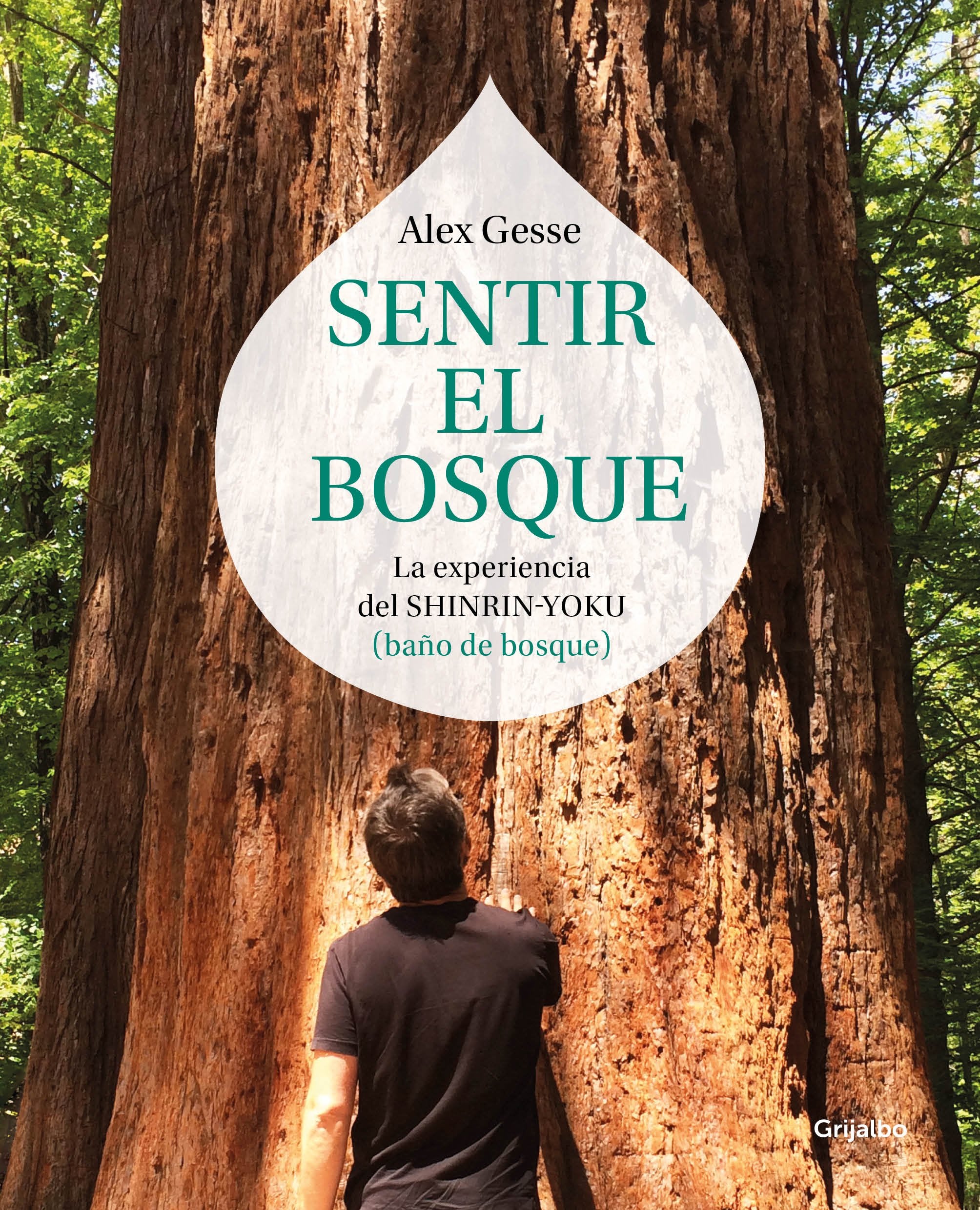 Sentir el bosque: La experiencia del shinrin-yoku (baño de bosque) (Crecimiento personal) Lifestyle