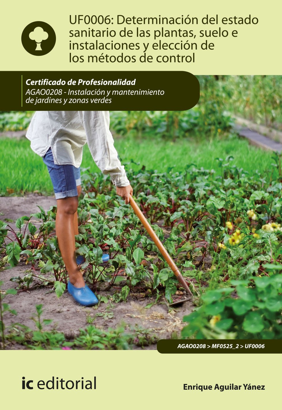 Determinación del estado sanitario de las plantas, suelo e instalaciones y elección de los métodos de control. AGAO0208 - Instalación y mantenimiento de jardines y zonas verdes book