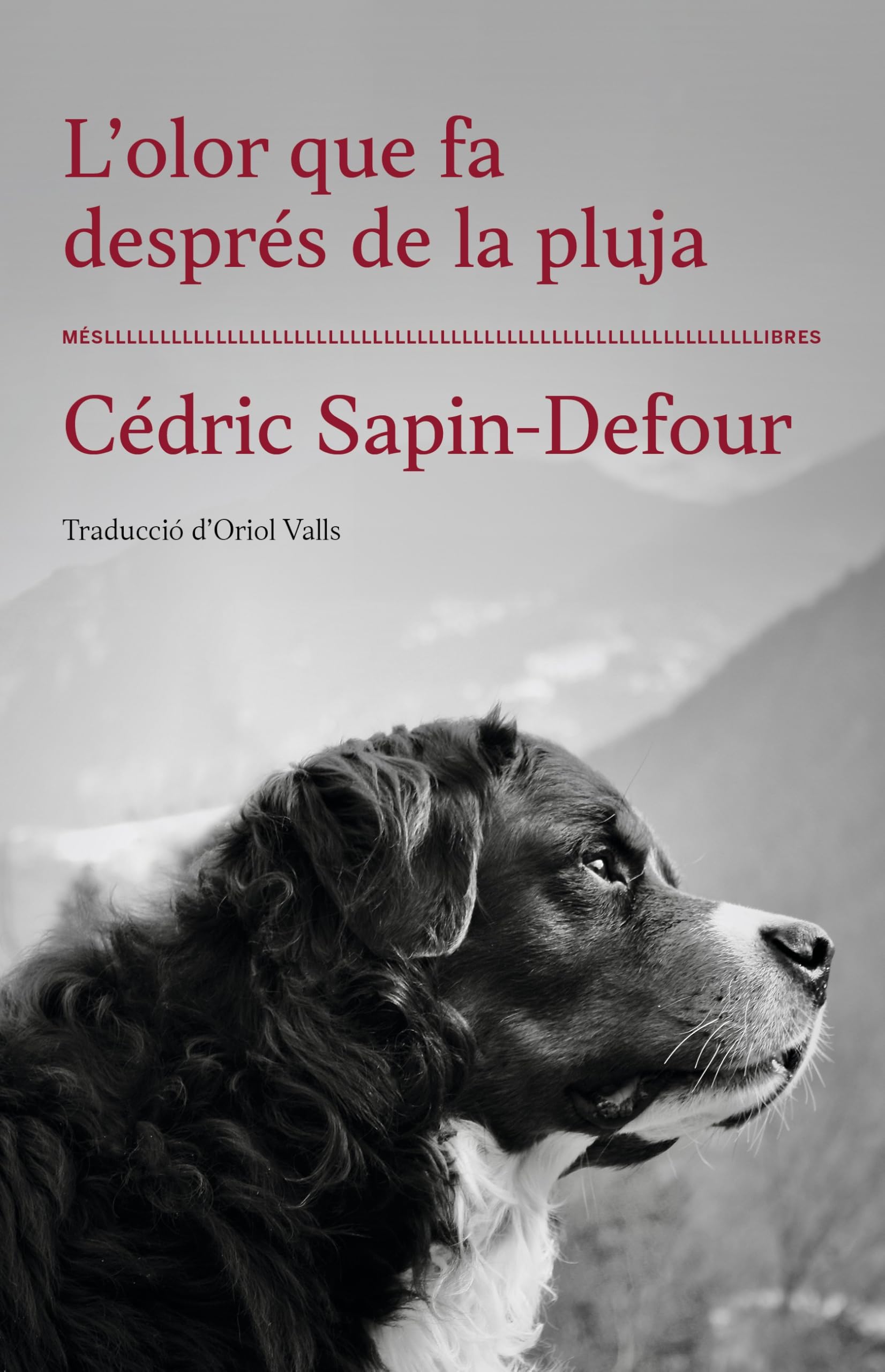 L'olor que fa després de la pluja Contemporary literature