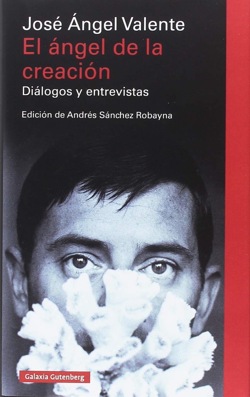 El ángel de la creación : diálogos y entrevistas book
