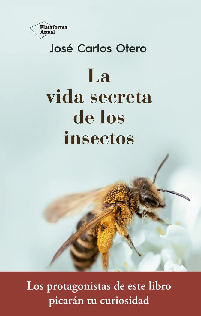 La vida secreta de los insectos/ The Secret Life of Insects book