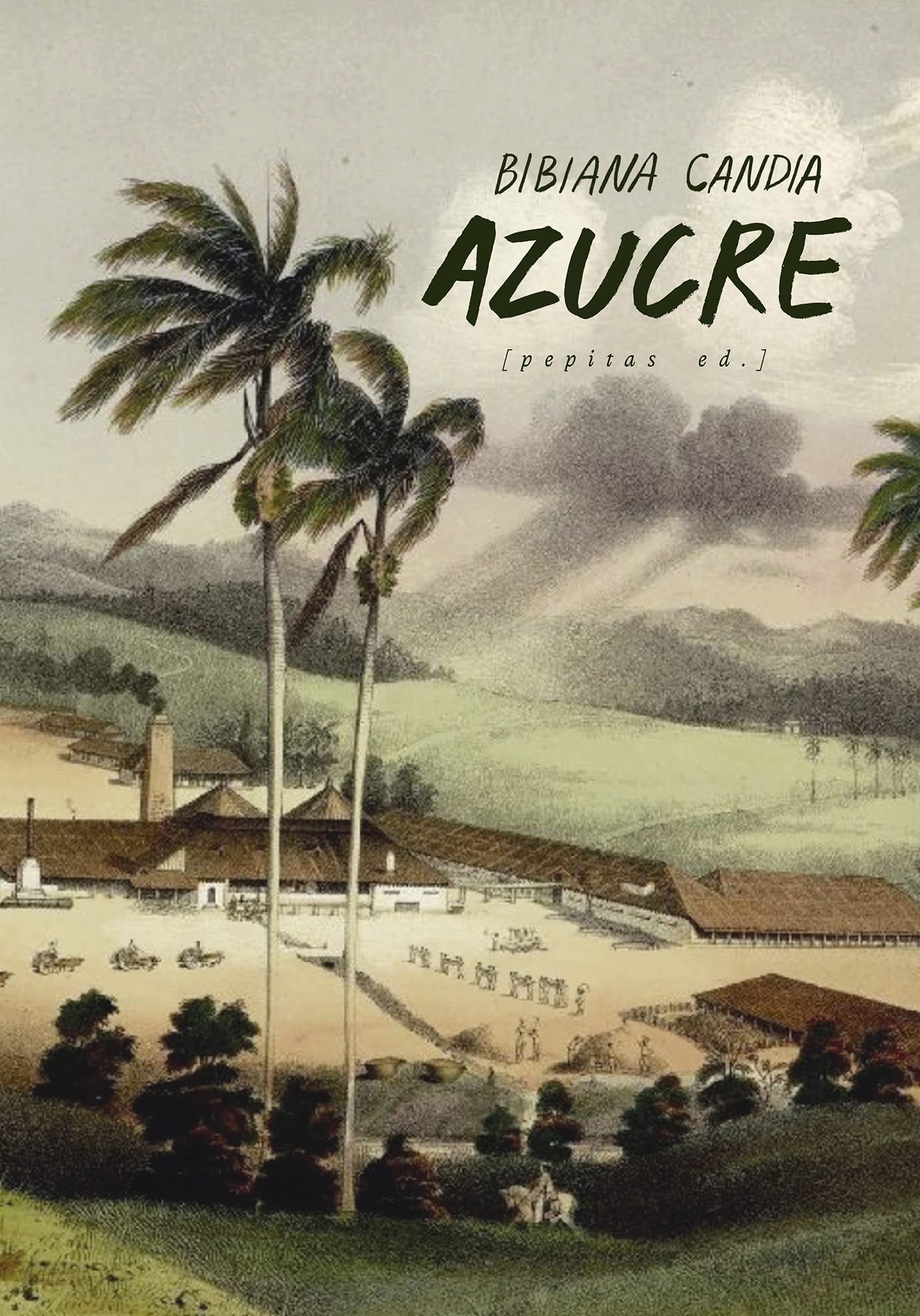 Azucre : una epopeya Contemporary literature
