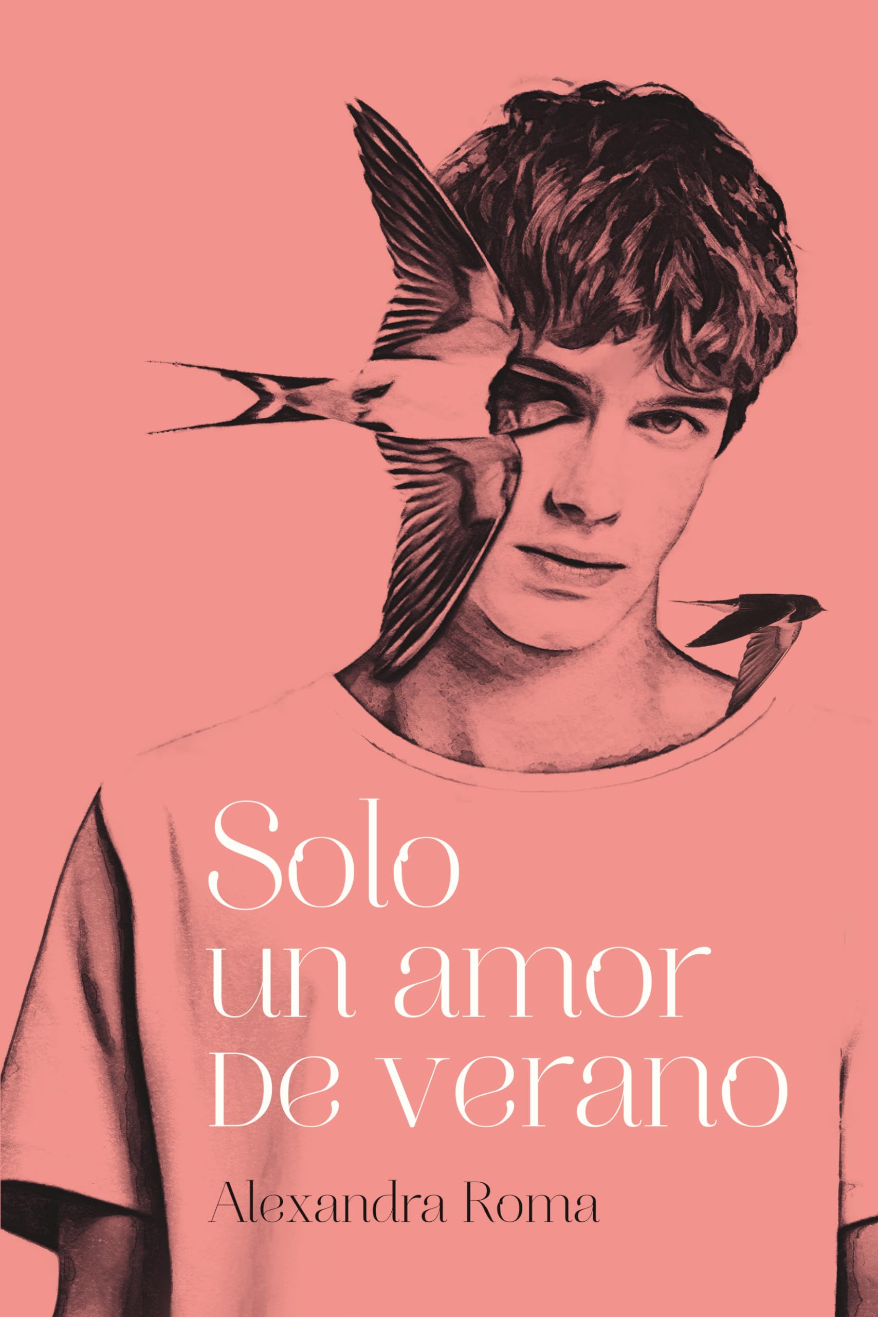 Solo un amor de verano/ Just a Summer Love book
