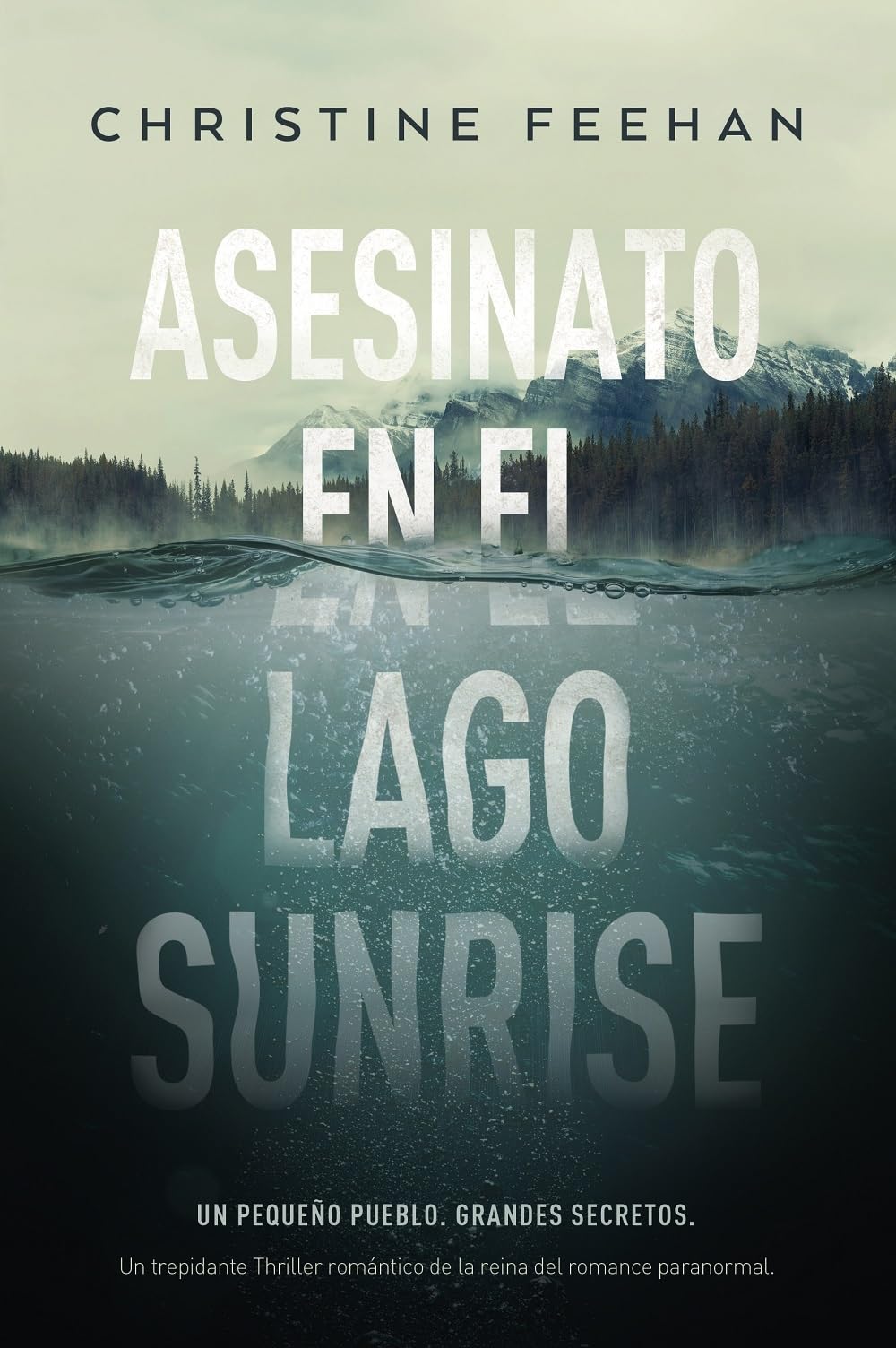 Asesinato En El Lago Sunrise Contemporary literature