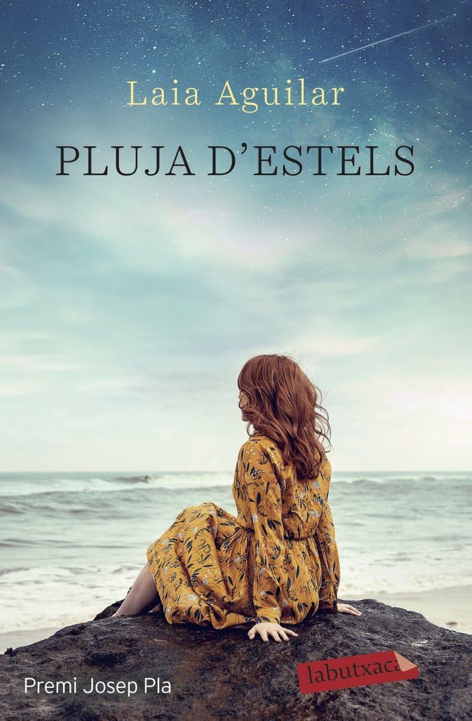 Pluja d'estels: Premi Josep Pla 2020 book