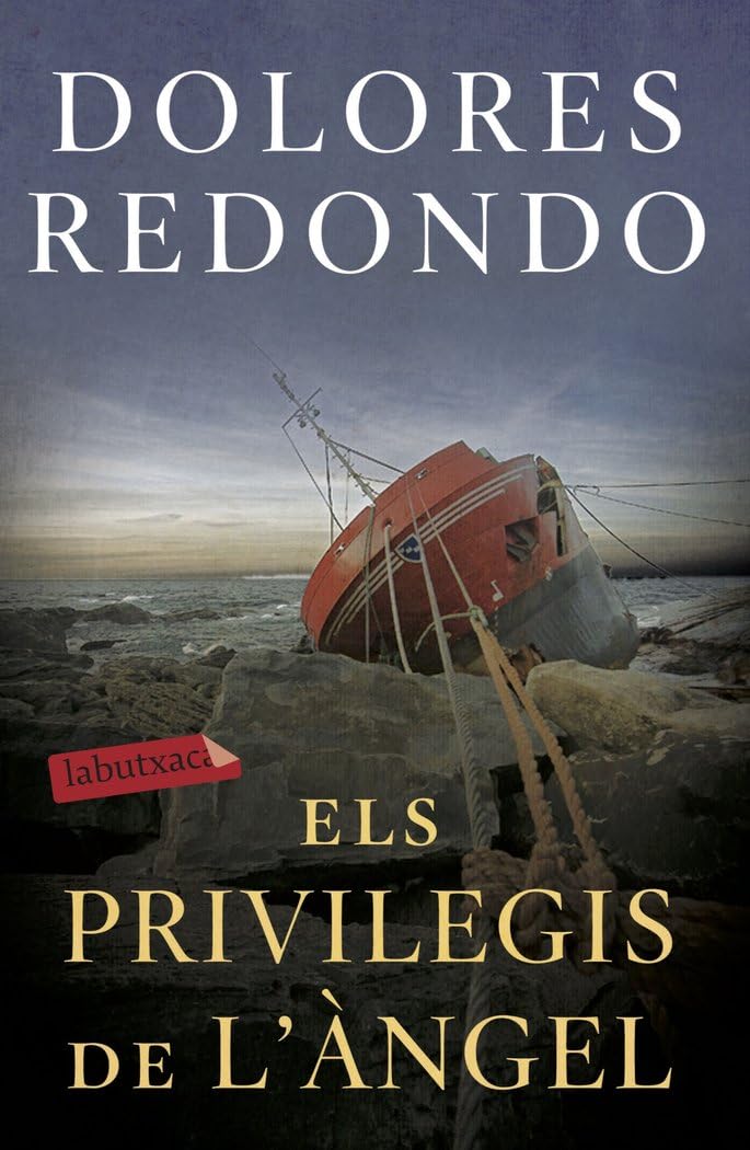 Els privilegis de l'àngel book