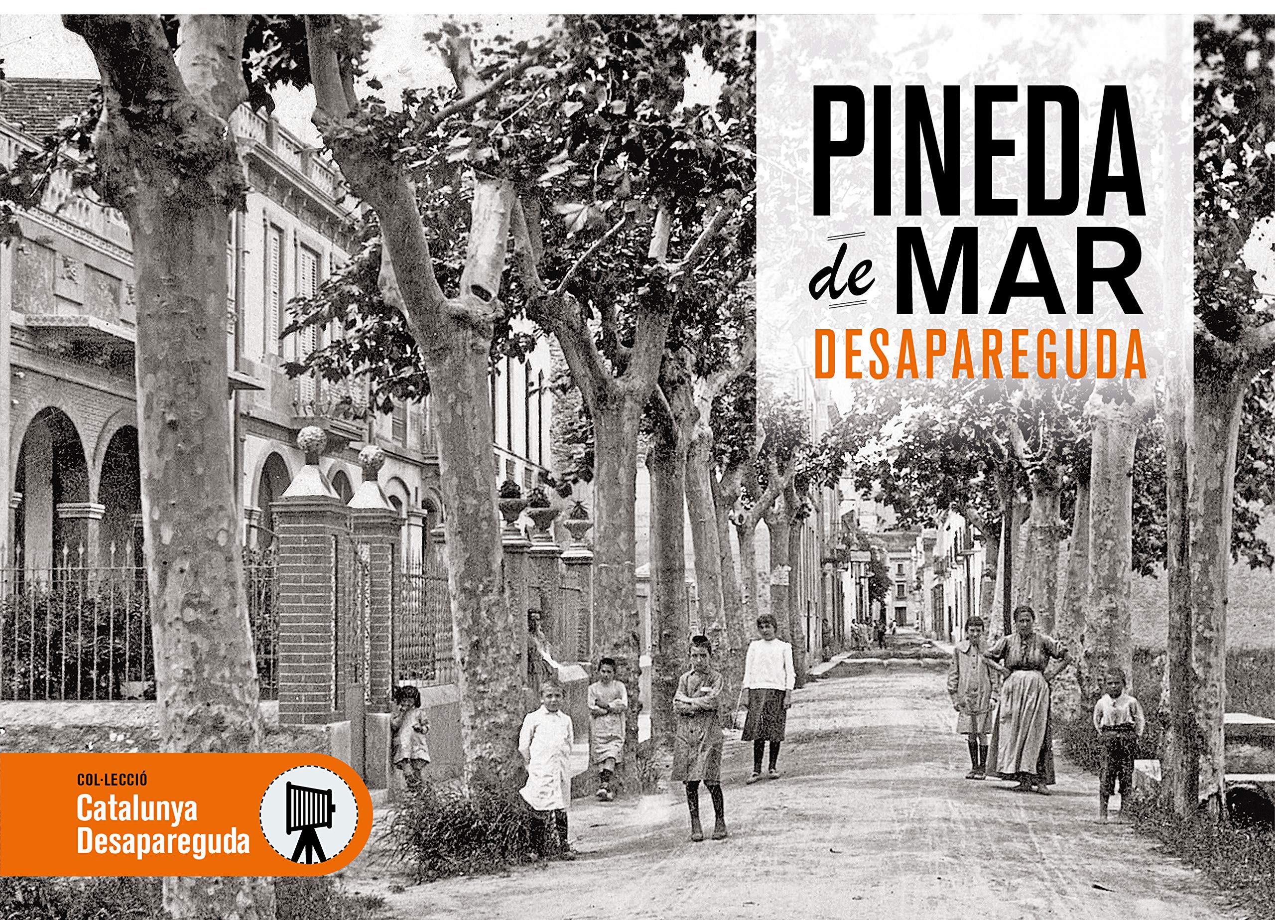 PINEDA DE MAR DESAPAREGUDA Film, Art & Culture