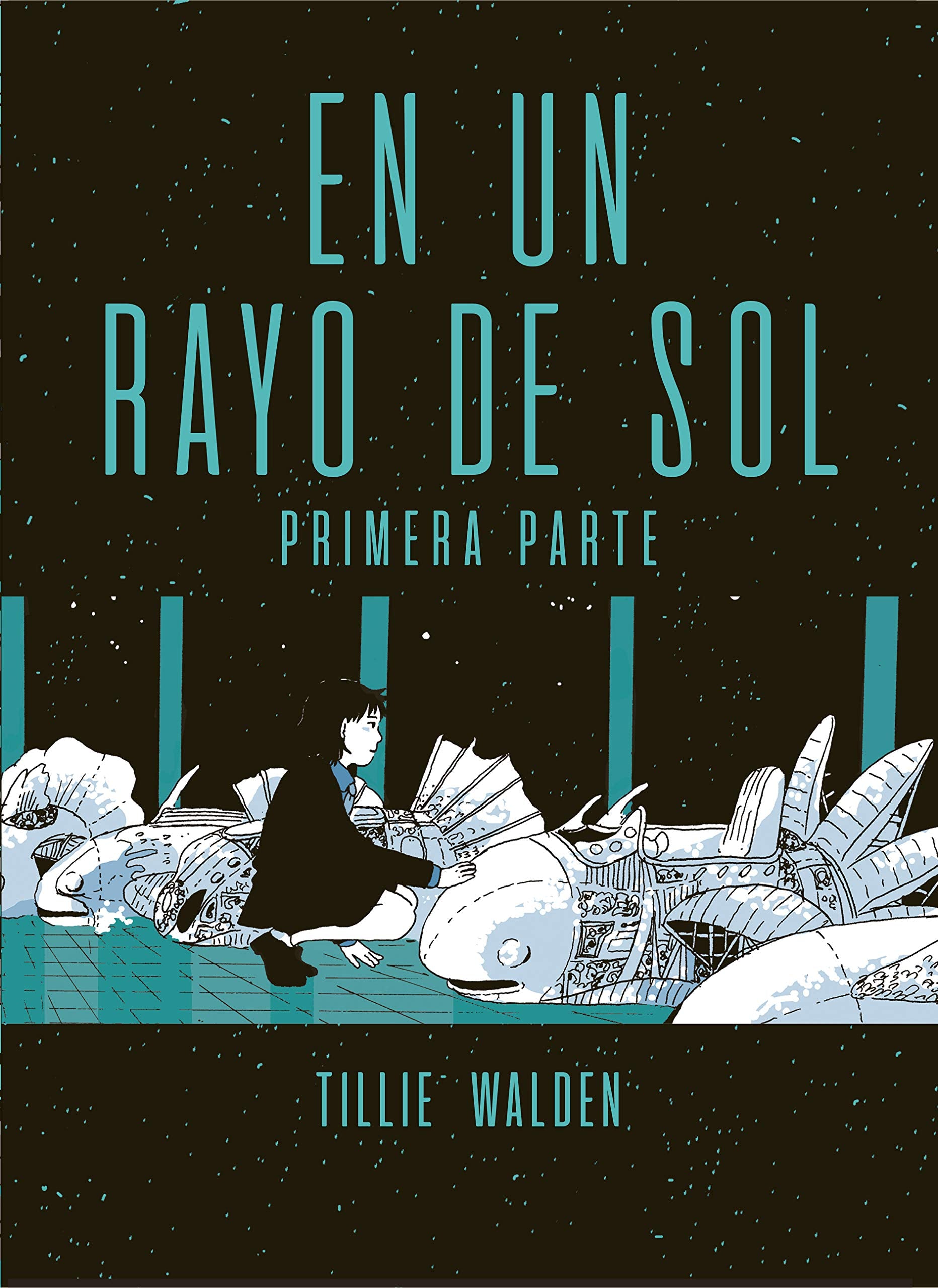 EN UN RAYO DE SOL. PRIMERA PARTE book