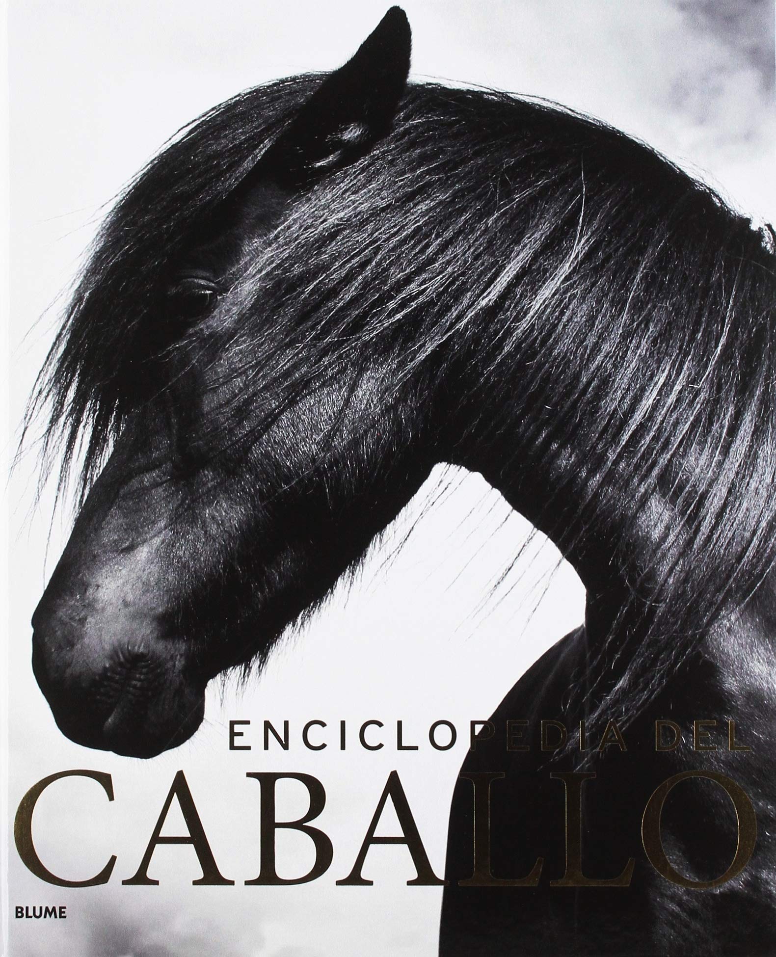 Enciclopedia del caballo (2019) Leisure & Fun