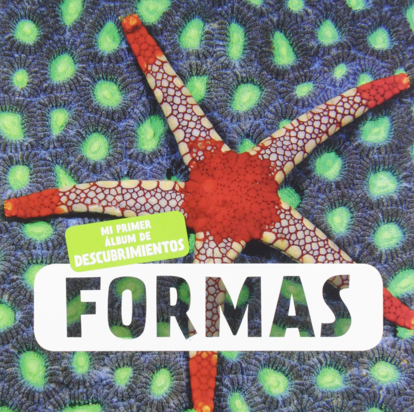 Formas: 1 (Mi primer álbum de descubrimimentos) book