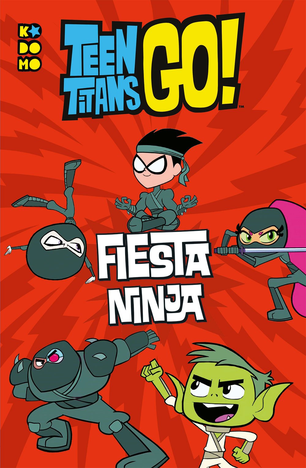 Teen Titans Go!: Fiesta ninja book