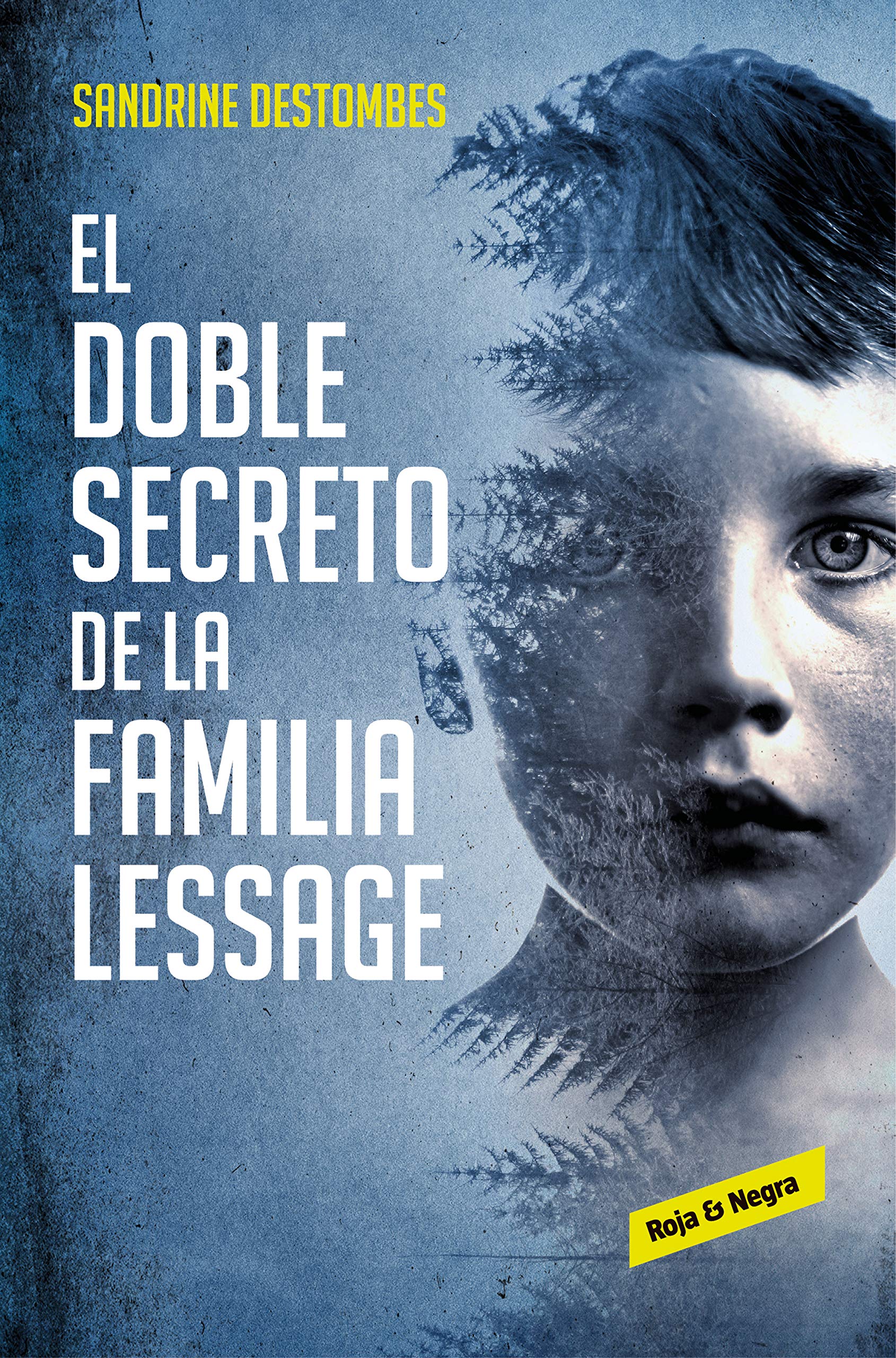 El Doble Secreto de la Familia Lessage / The Lessage Family S Double Secret Contemporary literature Books