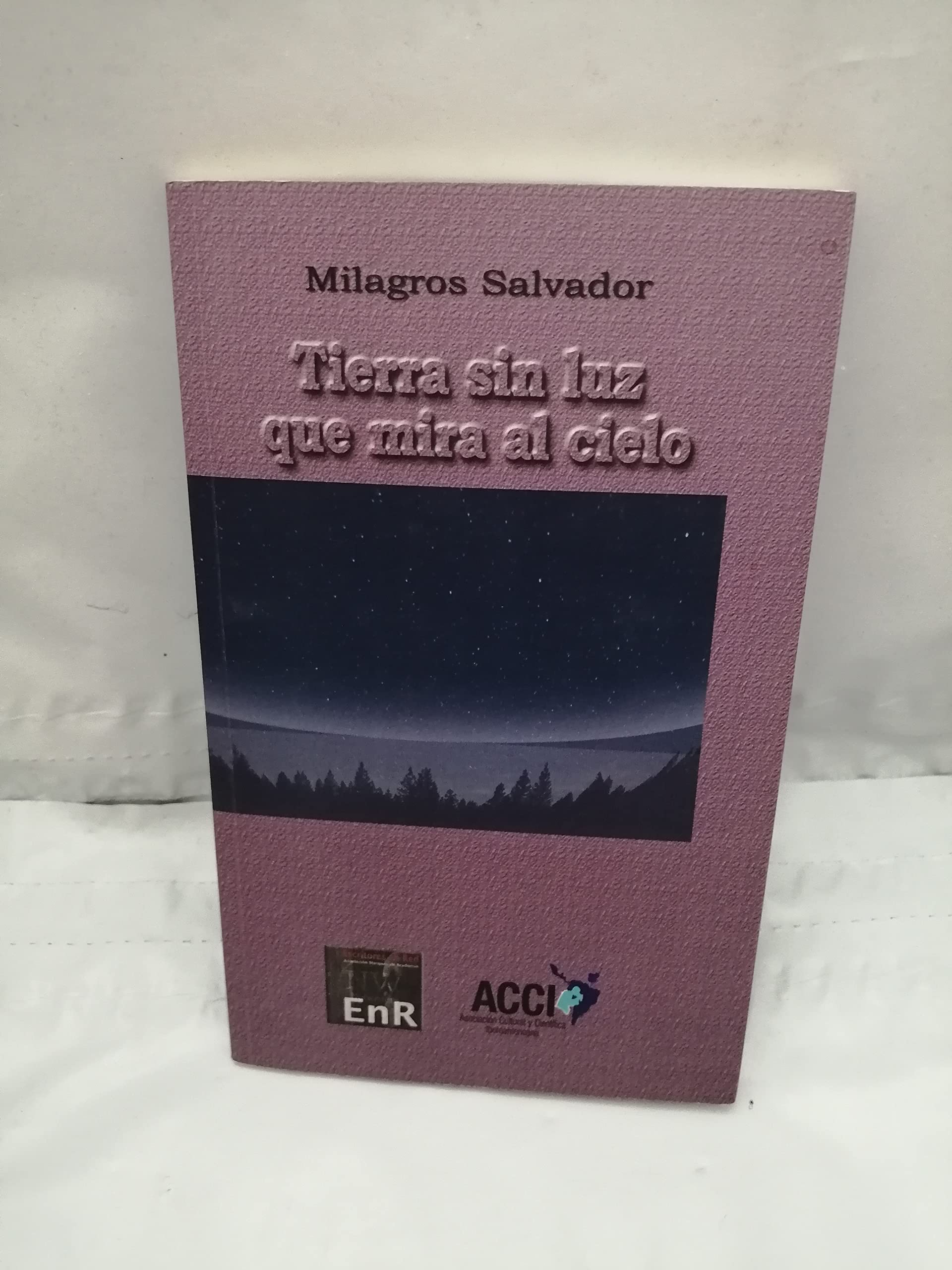 TIERRA SIN LUZ QUE MIRA AL CIELO book