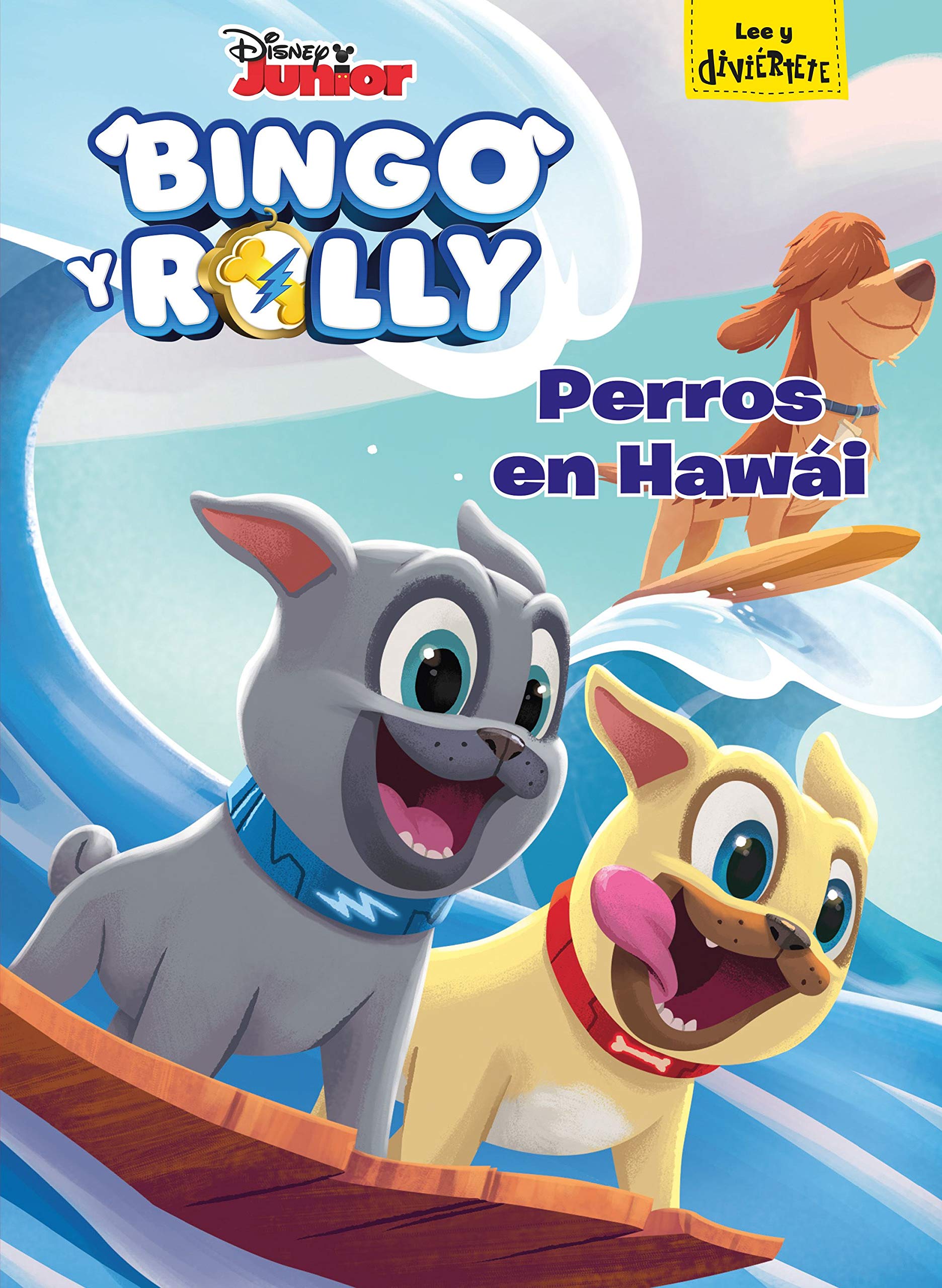 Bingo y Rolly. Perros en Hawái: Cuento book