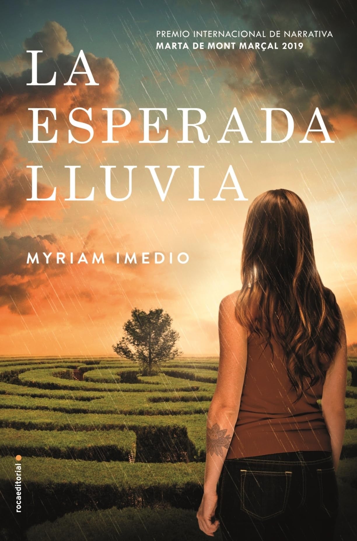 Product Image: La Esperada Lluvia