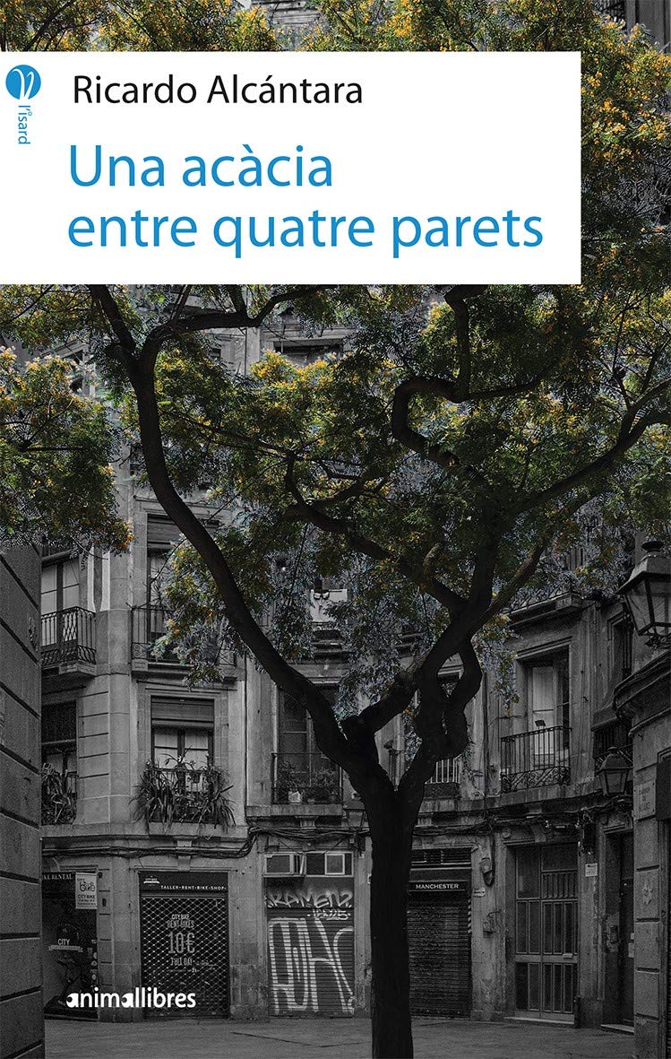 Una acàcia entre quatre parets book