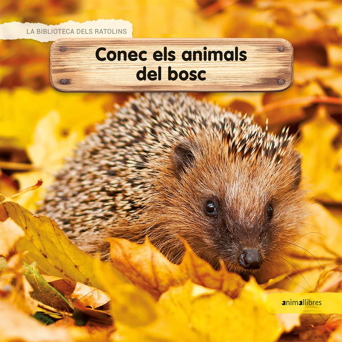 Conec els animals del bosc (La biblioteca dels ratolins, Band 62) Children's books