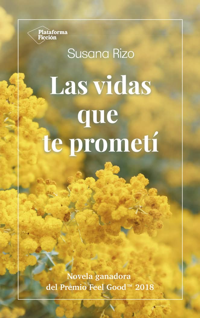 Las vidas que te prometí Contemporary literature