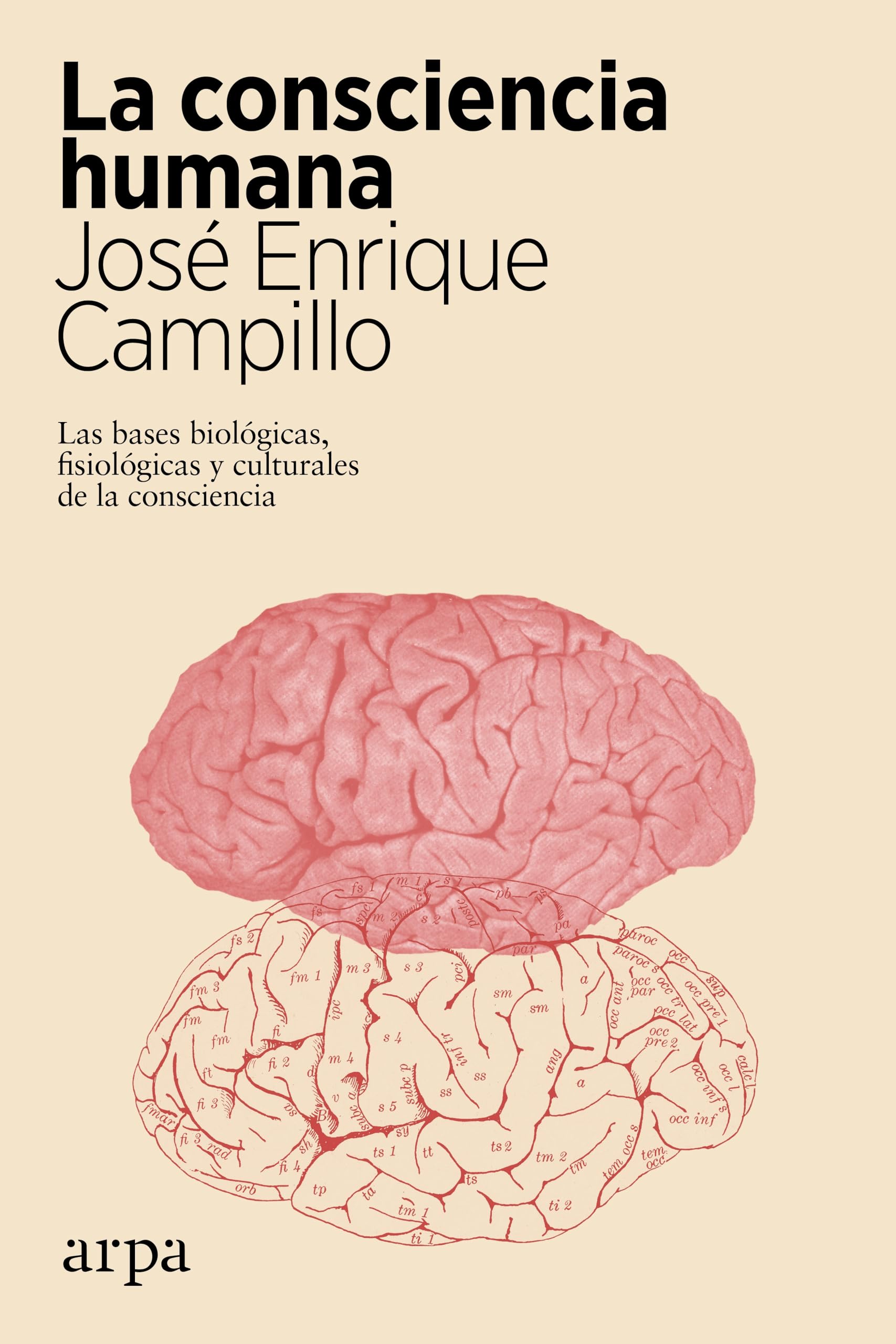 La consciencia humana : las bases biológicas, fisiológicas y culturales de la consciencia Books