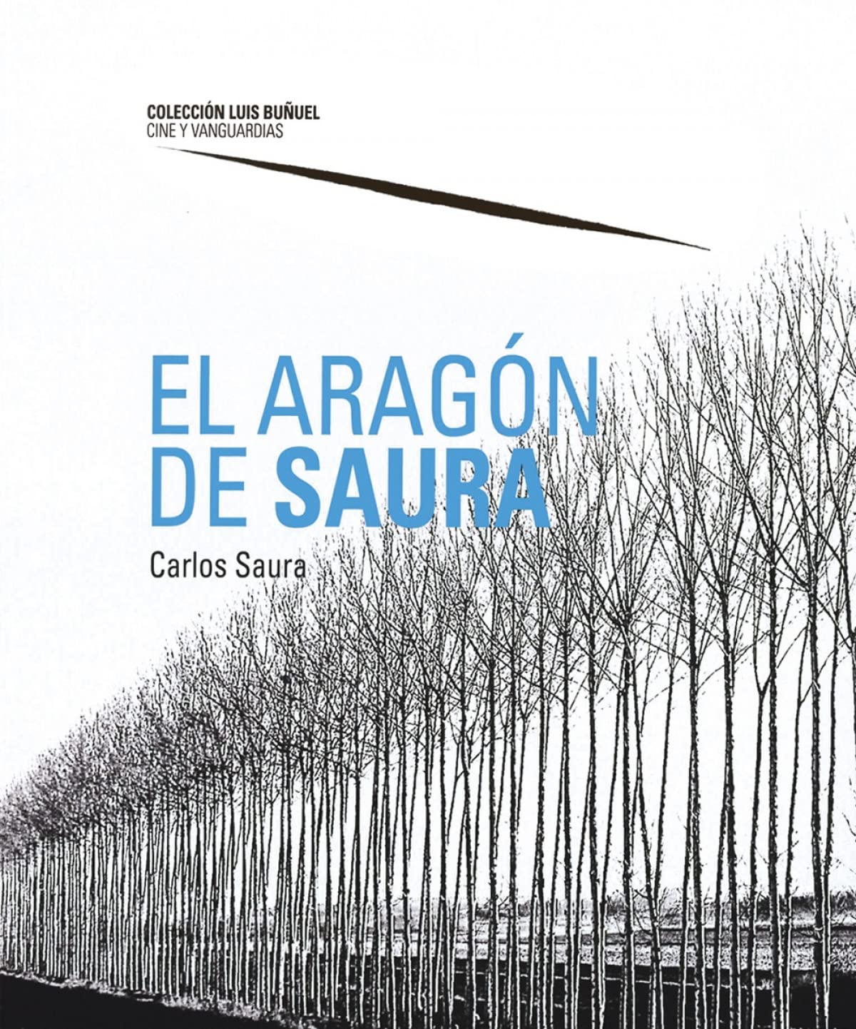 El Aragón de Saura (Luis Buñuel. Cine y vanguardias) Books