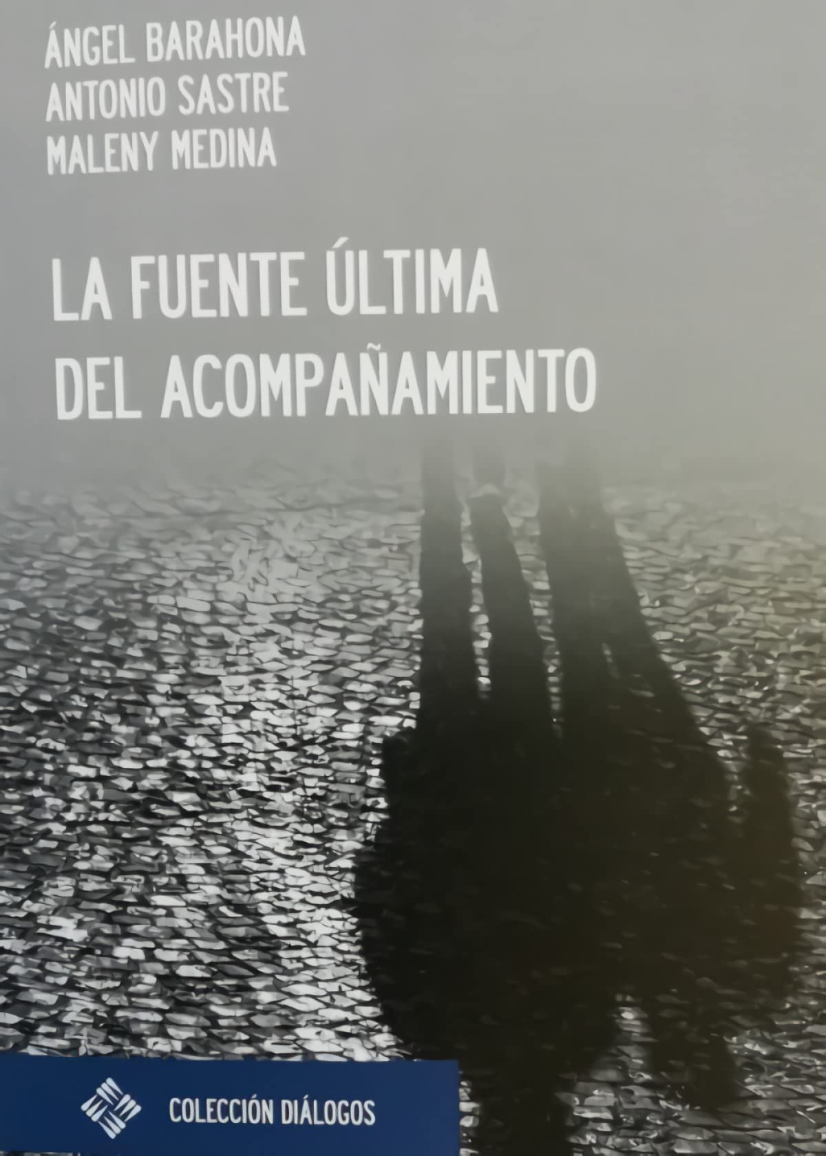 La fuente última del acompañamiento book