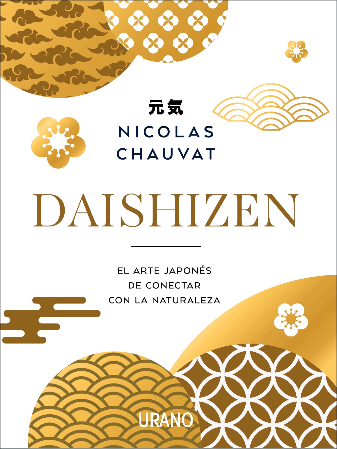 Daishizen: El Arte Japones De Conectar Con La Naturaleza book