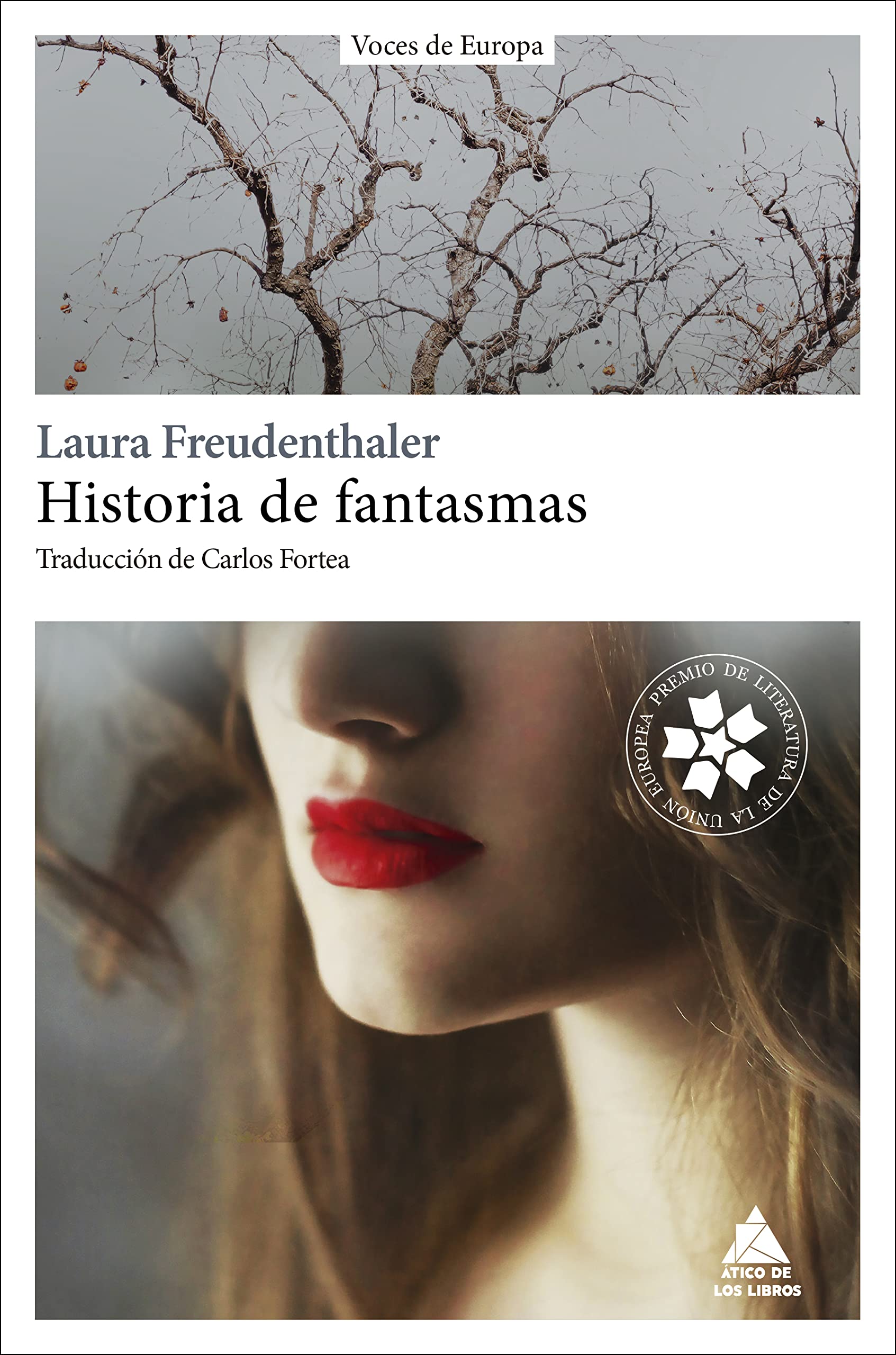 Historia de fantasmas (Ático Europa, Band 4) Contemporary literature