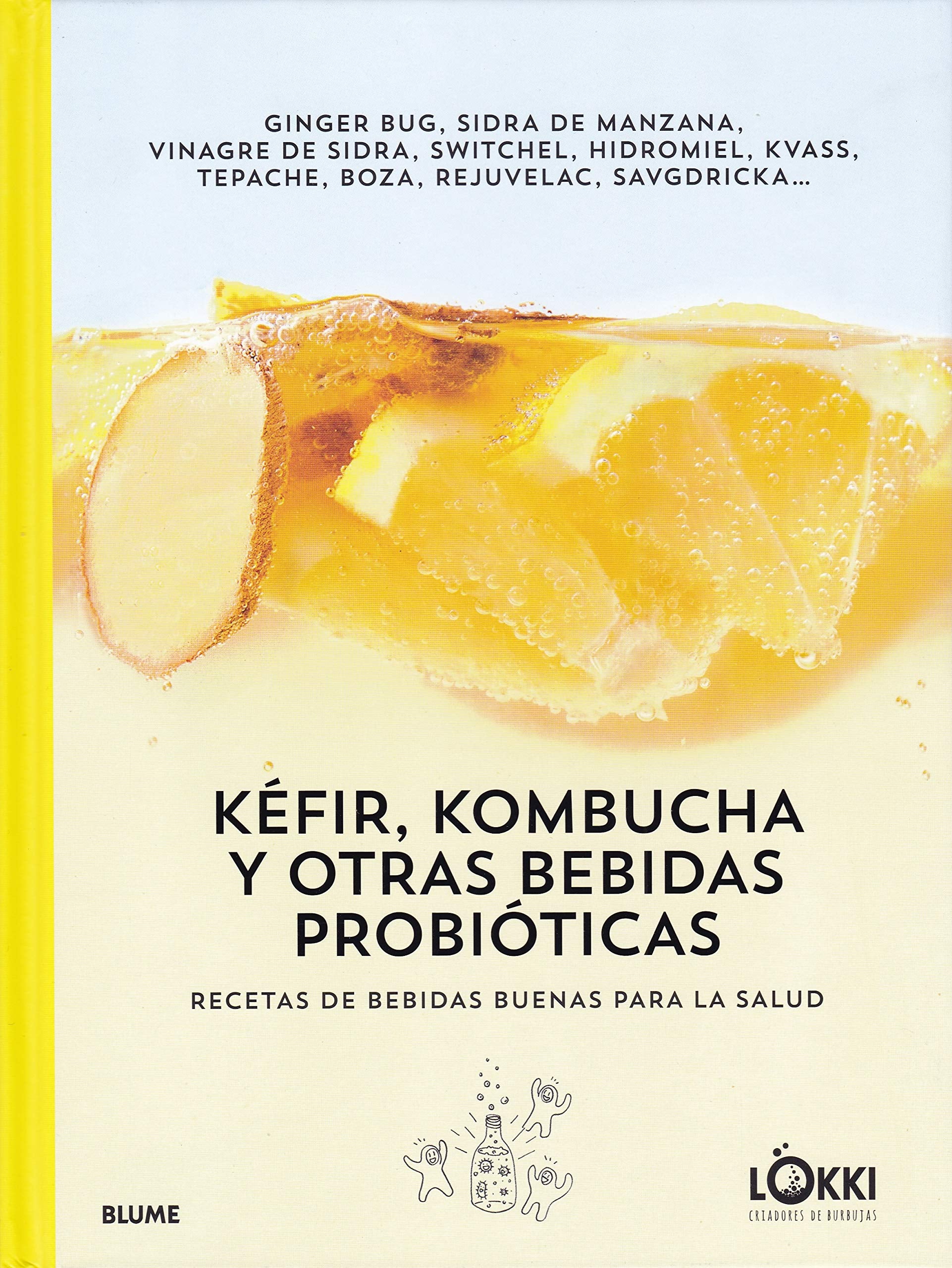 Kéfir, kombucha y otras bebidas probióticas: Recetas de bebidas buenas para la salud Leisure, Home & Garden
