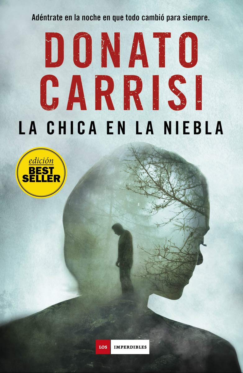 La chica en la niebla book