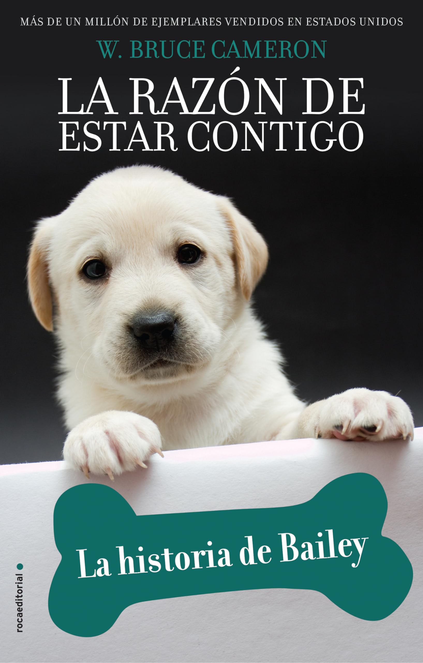 La Razon de Estar Contigo. La Historia de Bailey (Novela, Band 1) Contemporary literature