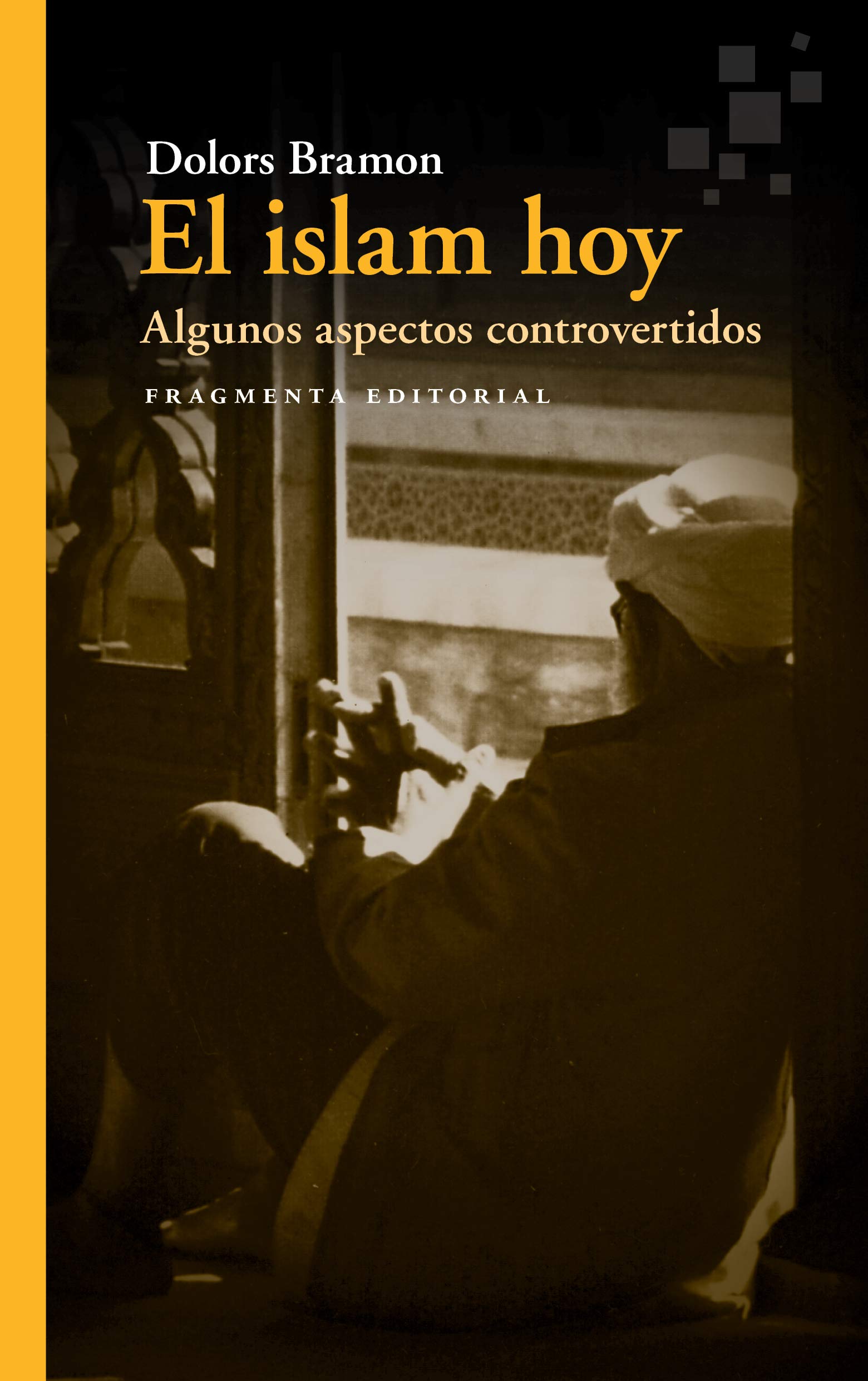 El islam hoy : algunos aspectos controvertidos book