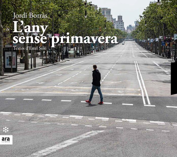 L'any sense primavera book