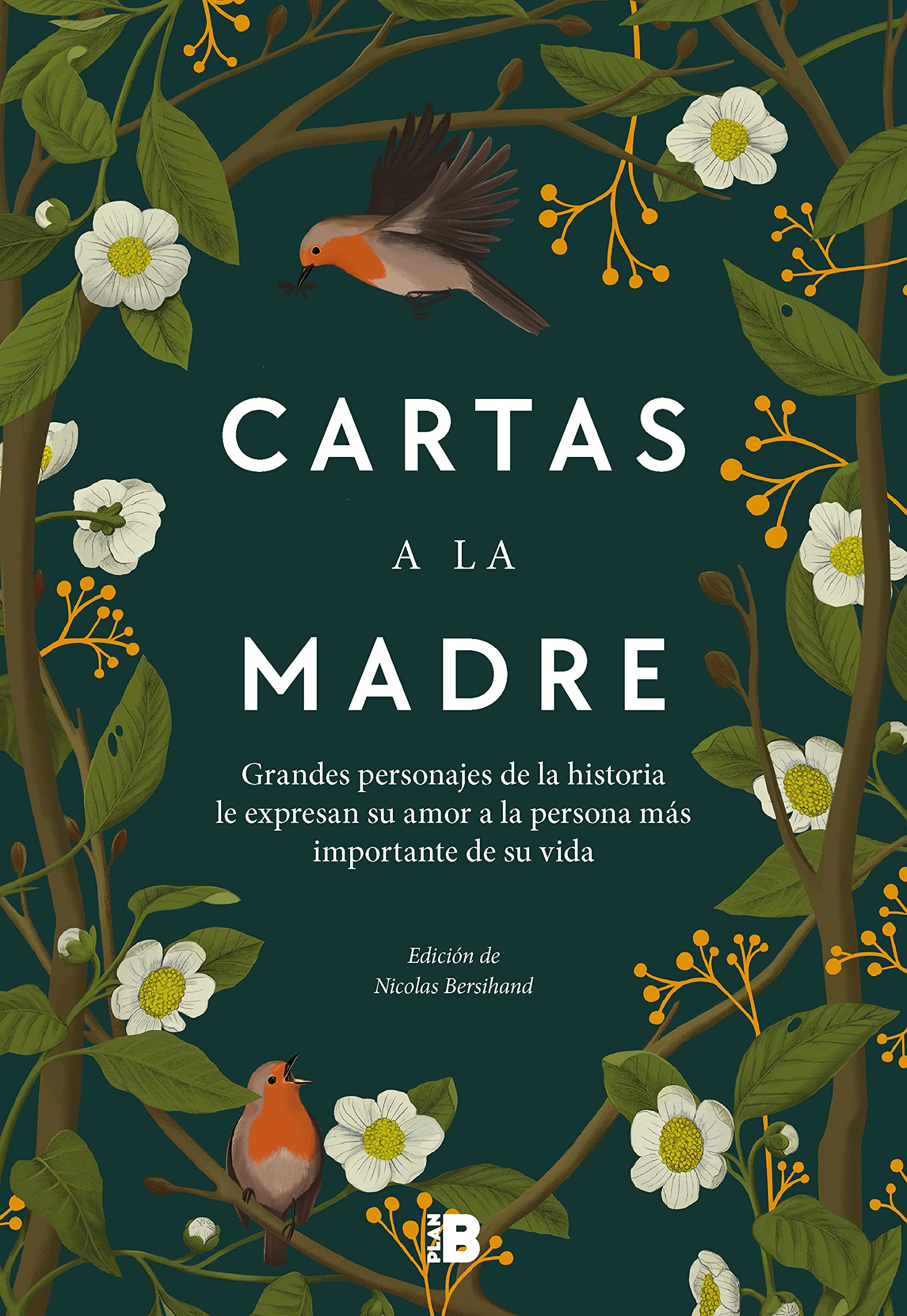 Cartas a la madre: Grandes figuras de la historia le expresan su amor a la persona más importante de su vida book