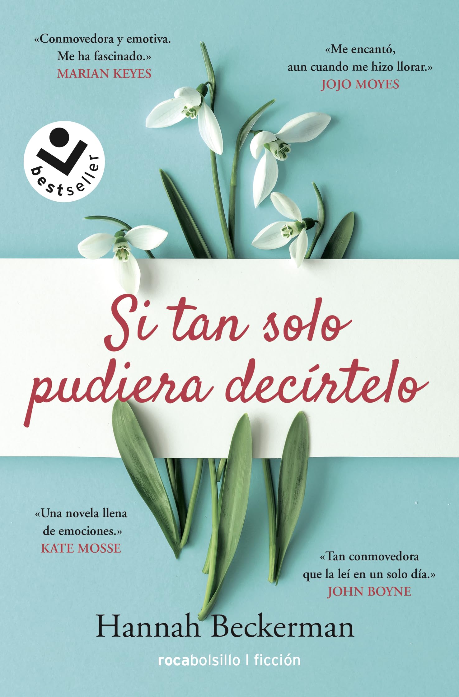 Si tan solo pudiera decírtelo book