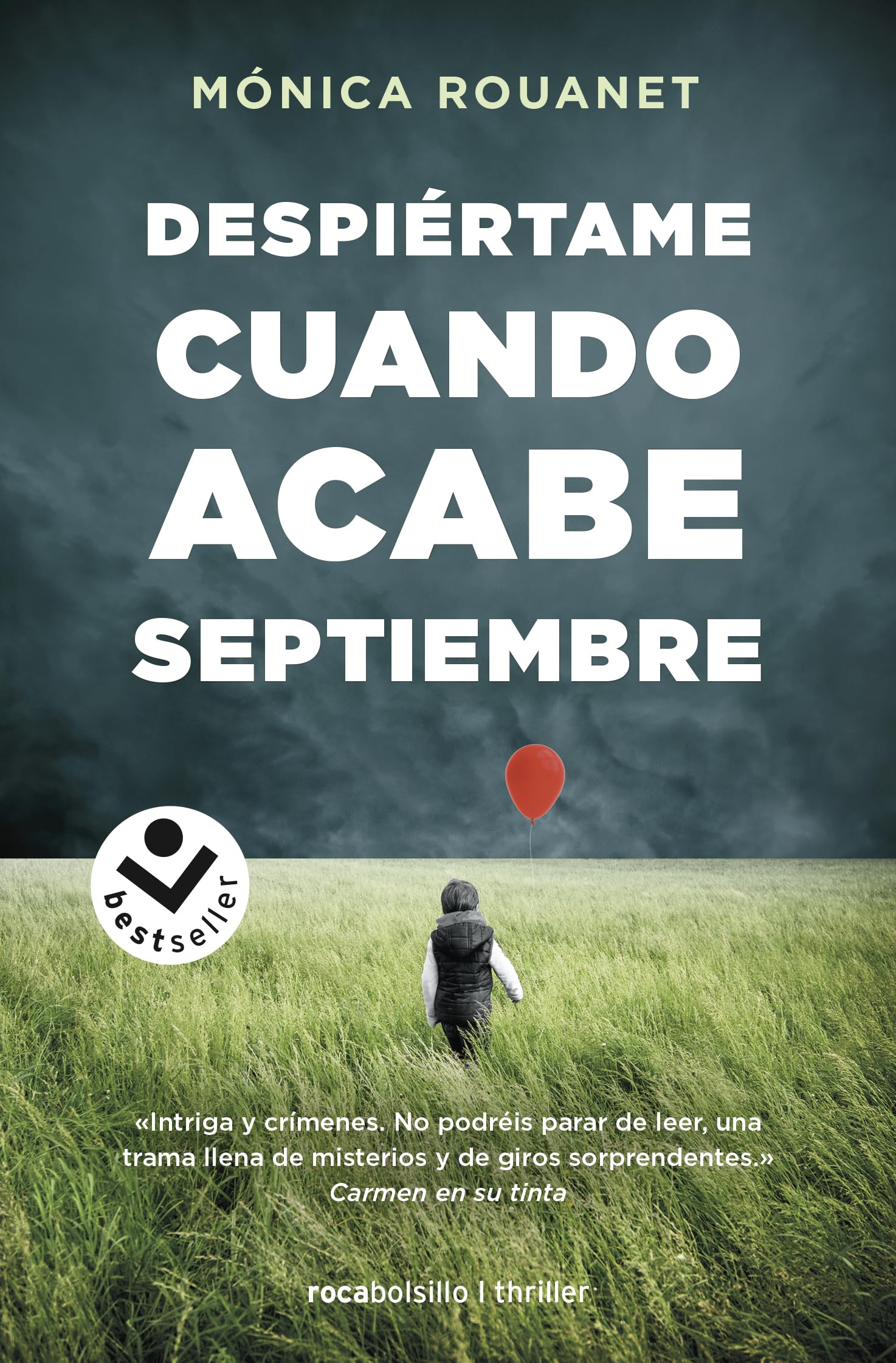 Despiértame cuando acabe septiembre book
