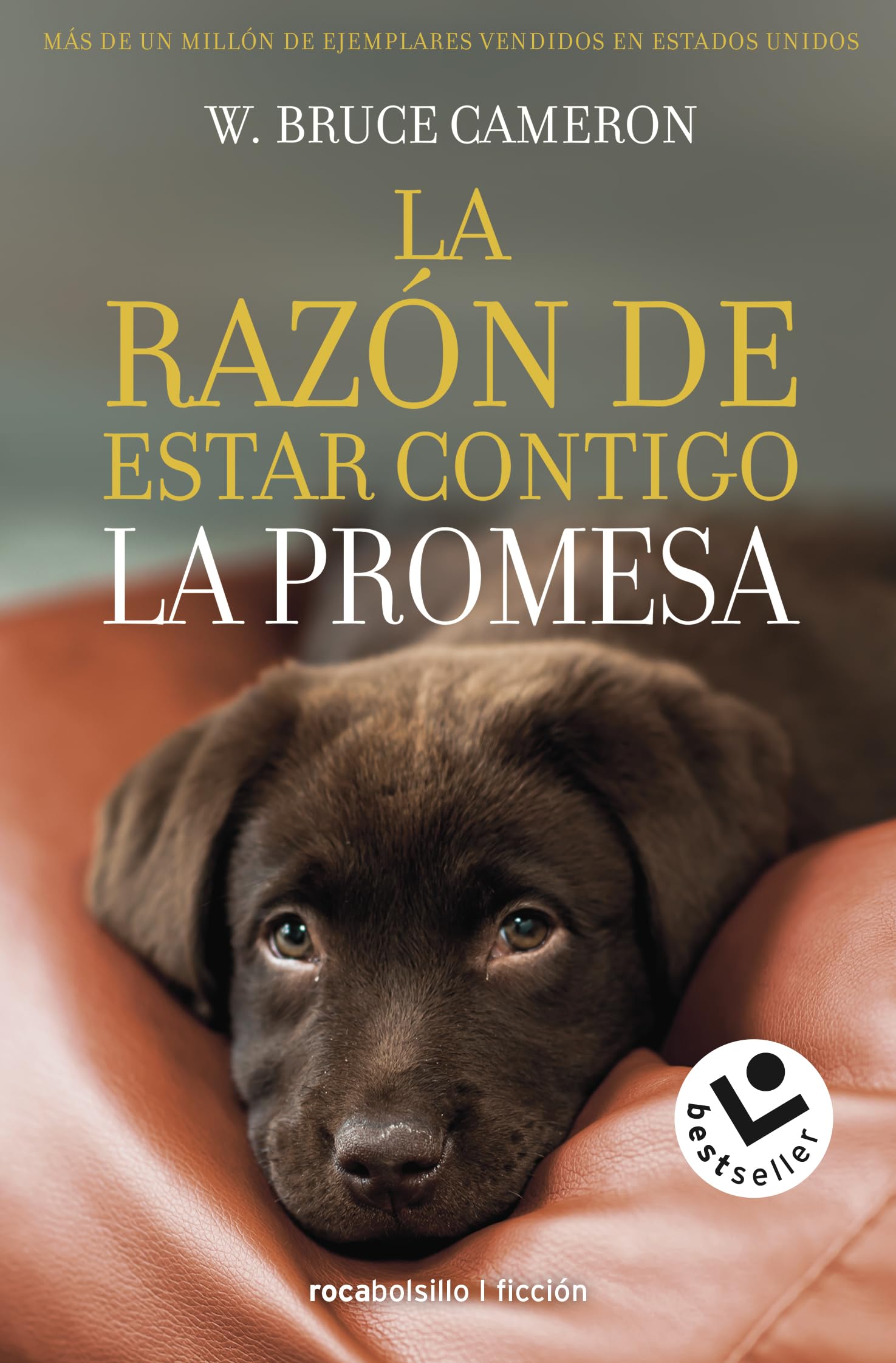 La razón de estar contigo 3 - La promesa book