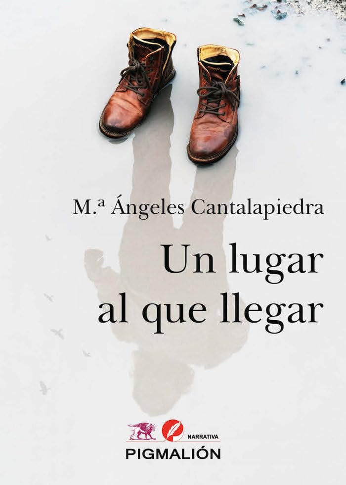 Un Lugar Al Que Llegar Books