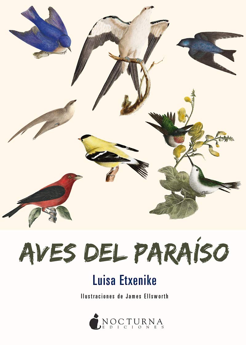 Aves del paraíso (Noches Blancas, Band 39) Contemporary literature