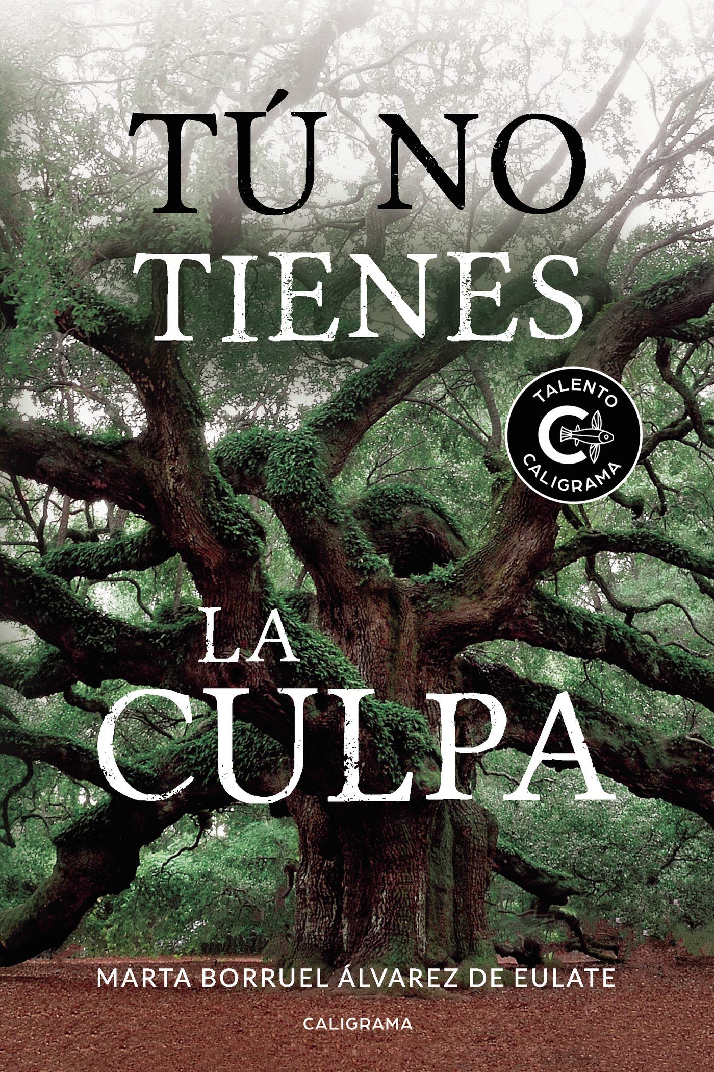 Tú no tienes la culpa (Talento) Contemporary literature