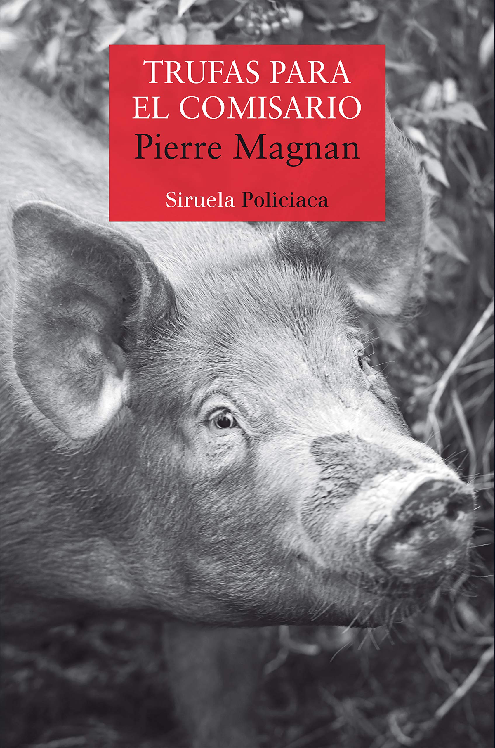 Trufas para el comisario (Nuevos Tiempos, Band 439) Contemporary literature