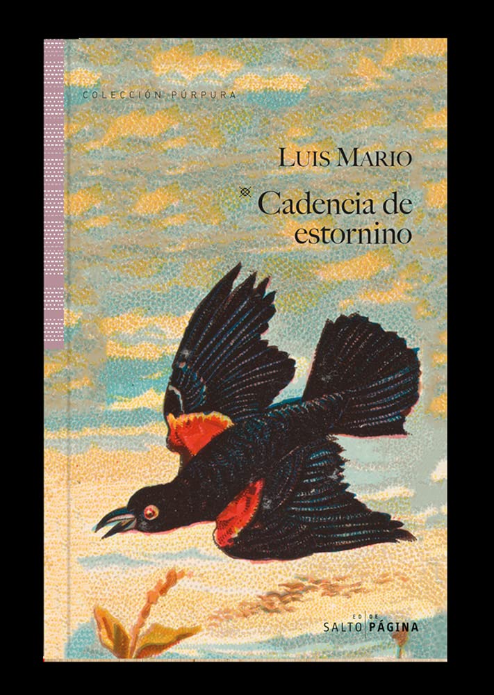 Cadencia de estornino (Ficción) Contemporary literature