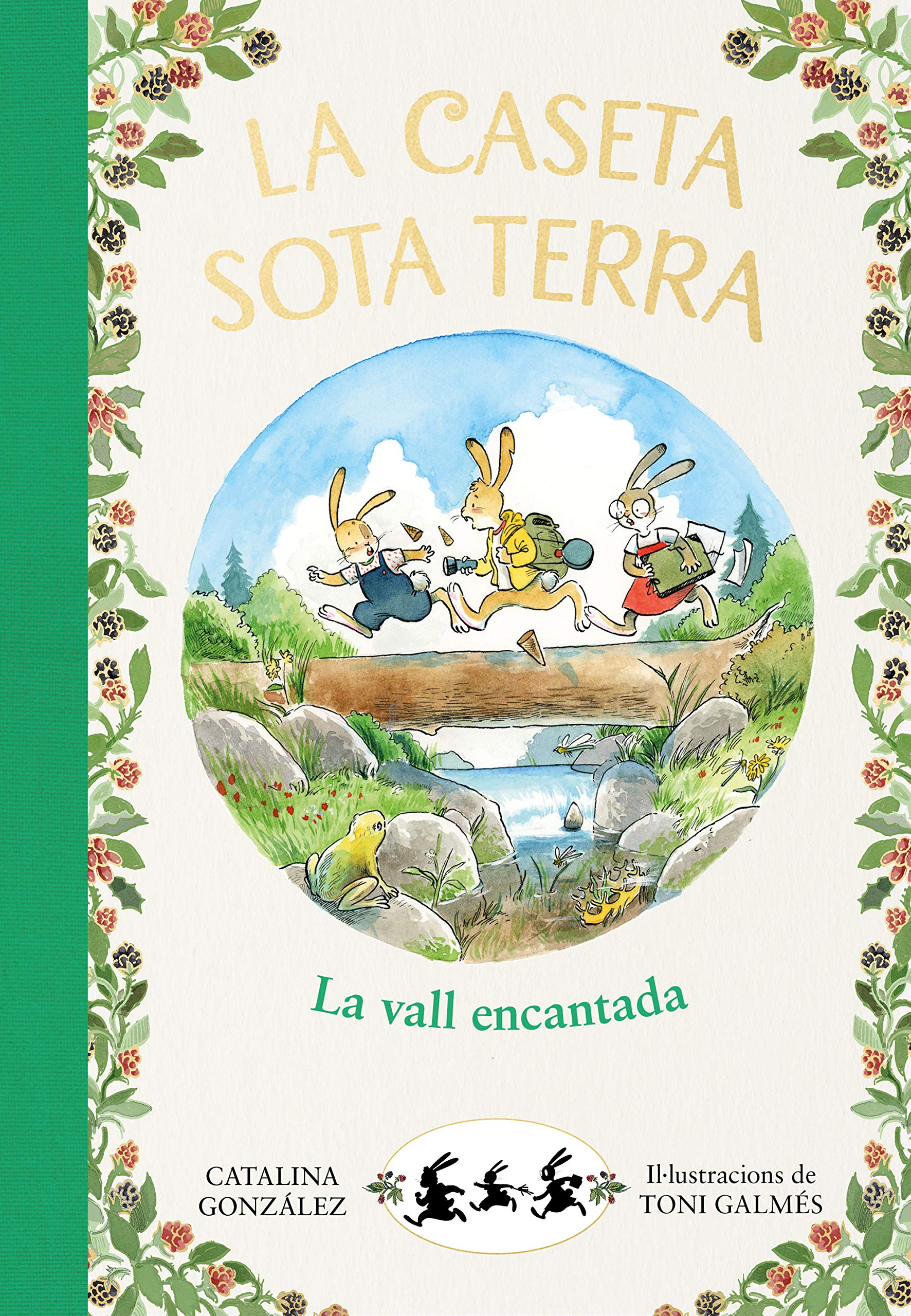 La caseta sota terra 3 - La vall encantada book