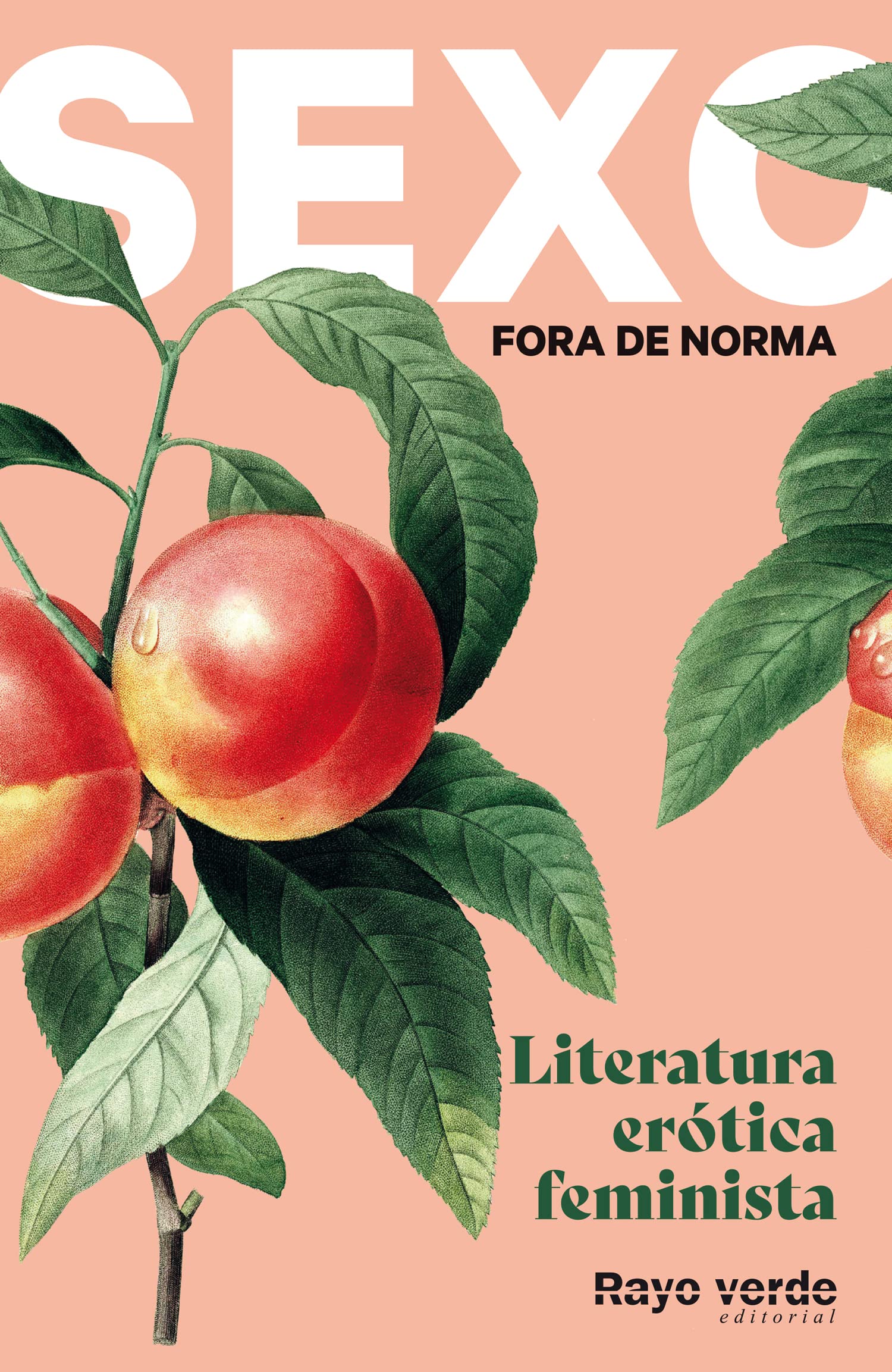 Sexo Fora de norma (melocotones): Literatura erótica feminista book
