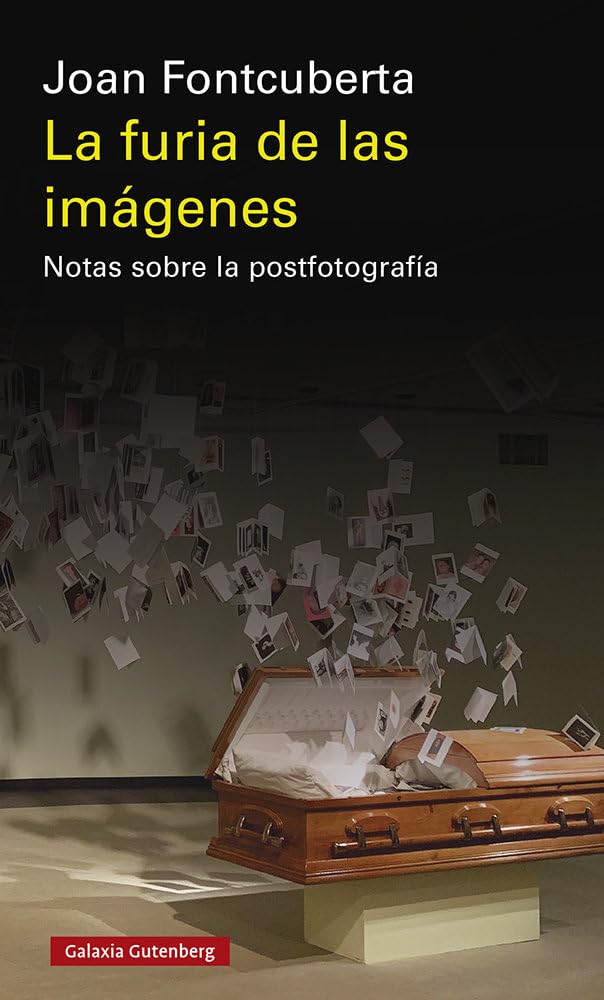 La furia de las imágenes- 2020: Notas sobre la postfotografía (Ensayo) Film, Art & Culture