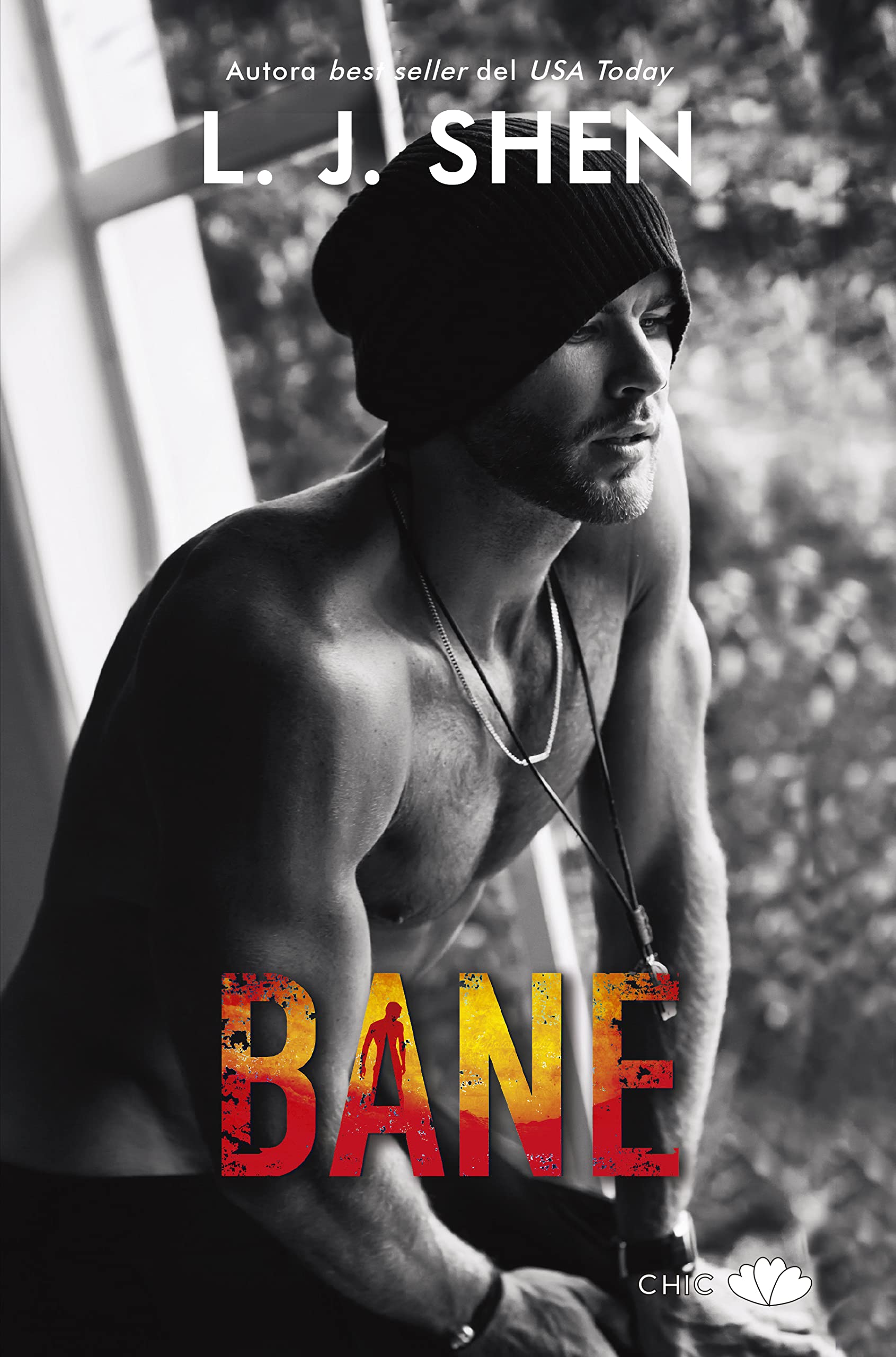Bane book