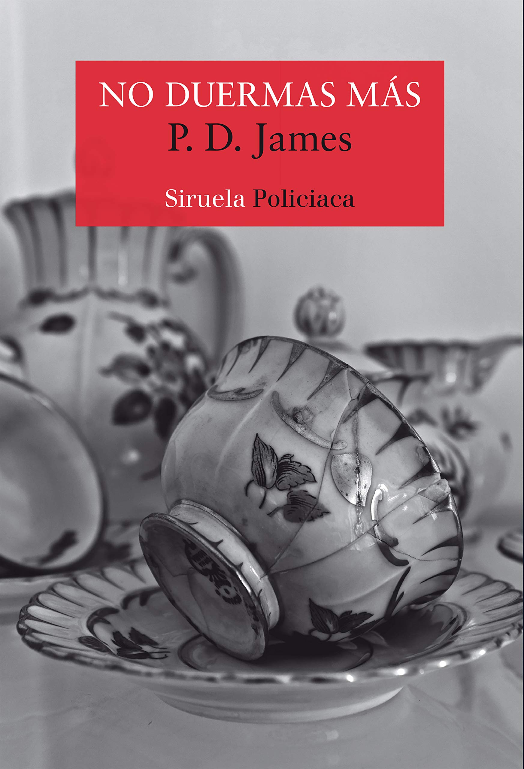 No duermas más (Nuevos Tiempos, Band 447) Contemporary literature