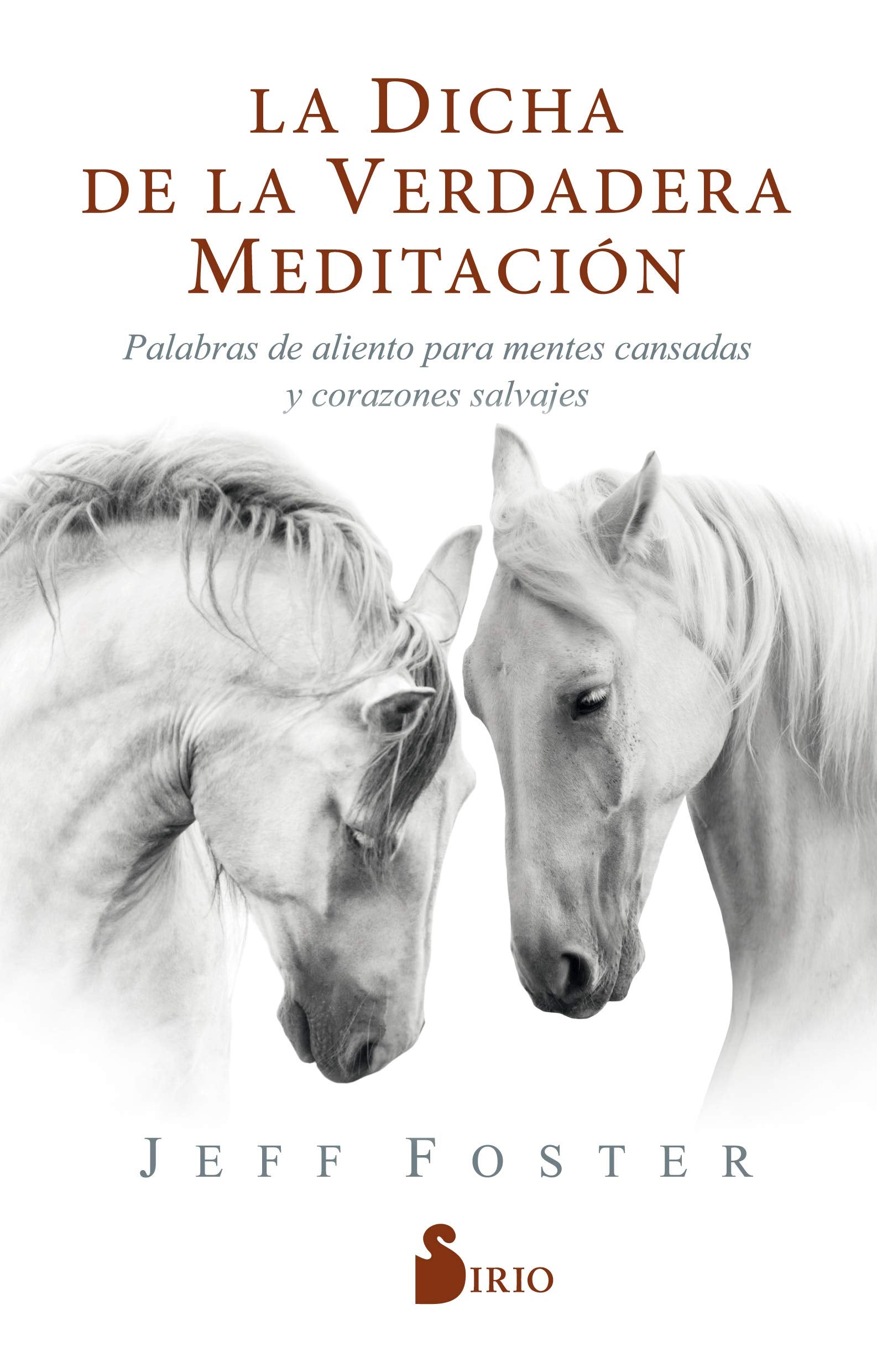 La dicha de la verdadera meditación/ The Joy of True Meditation book