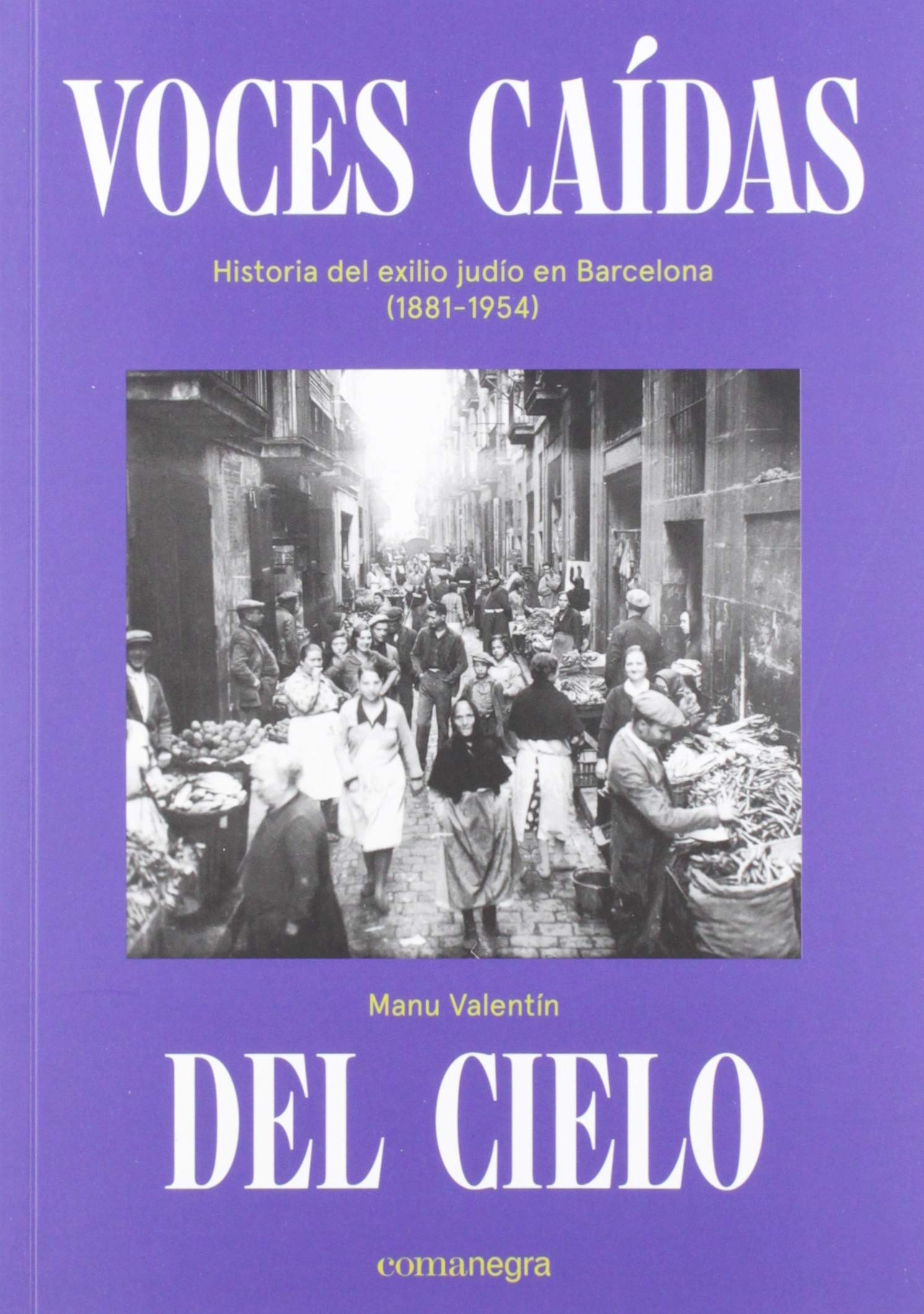 Voces caídas del cielo: Historia del exilio judío en Barcelona (1881-1954) Books