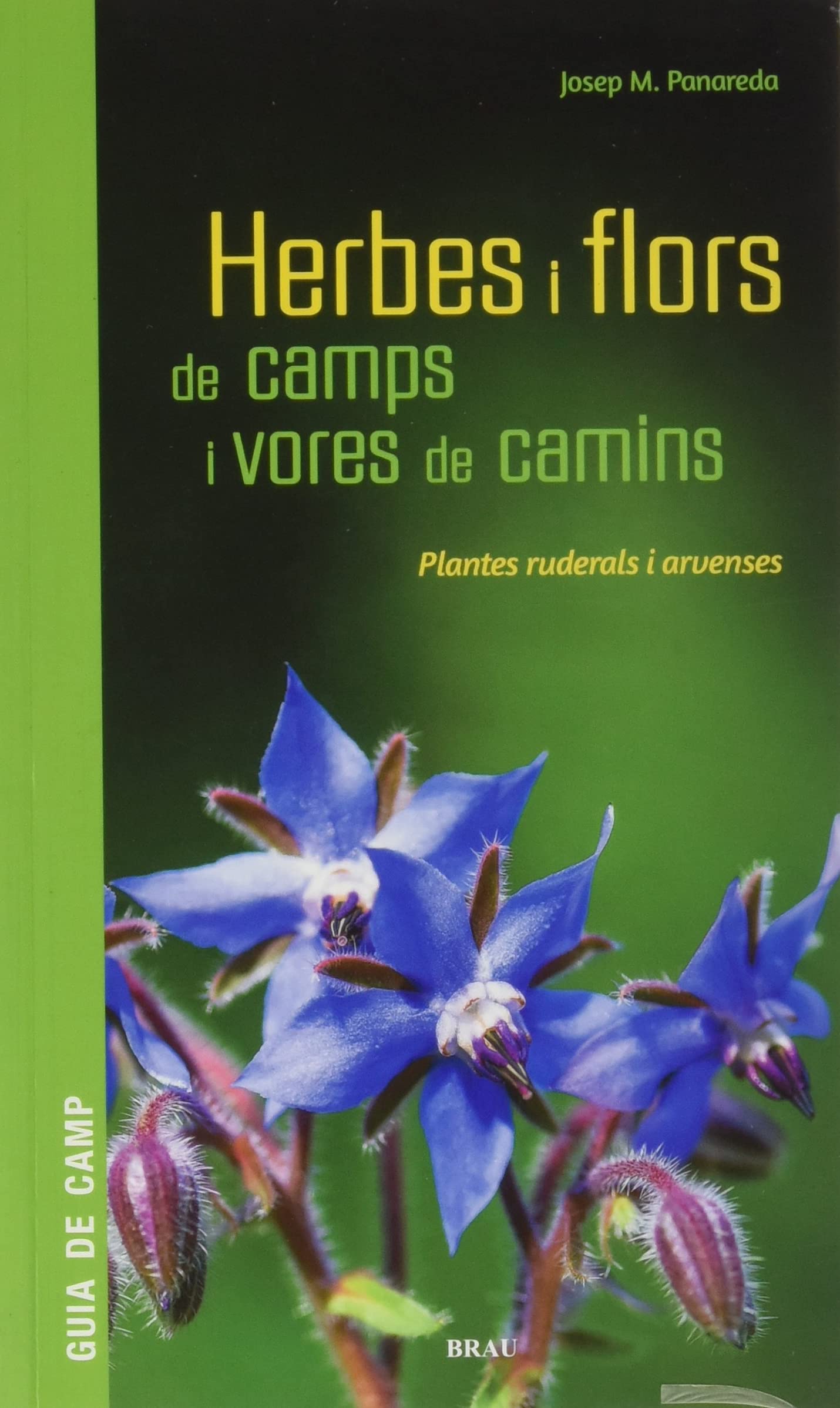 Herbes i flors de camps i vores de camins: Plantes ruderals i arvenses book